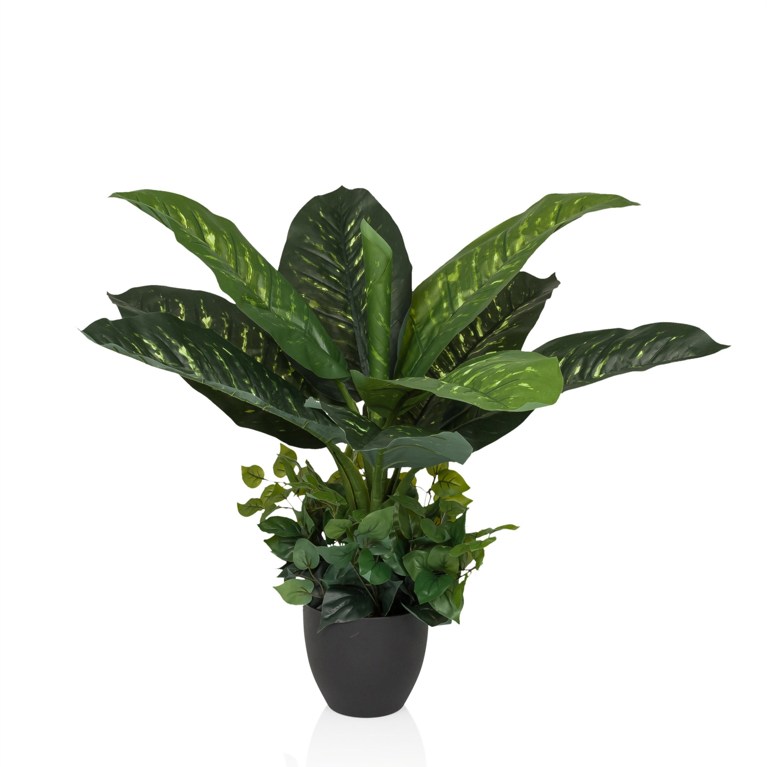 Kunstpflanze DIEFFENBACHIA Künstliche Pflanze Höhe 80.0 cm Dieffenbachia, hjh OFFICE, Höhe 80.0 cm, Künstliche Pflanze Dieffenbachia, Schweigrohr, Leopard-Lilie