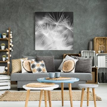 Bilderdepot24 Leinwandbild Blumen Natur Modern Pusteblumen schwarz weiss Bild auf Leinwand XXL, Bild auf Leinwand; Leinwanddruck in vielen Größen