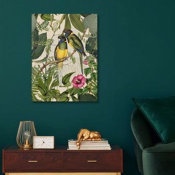Posterlounge Holzbild Andrea Haase, Tropische Vögel III, Vintage Illustration