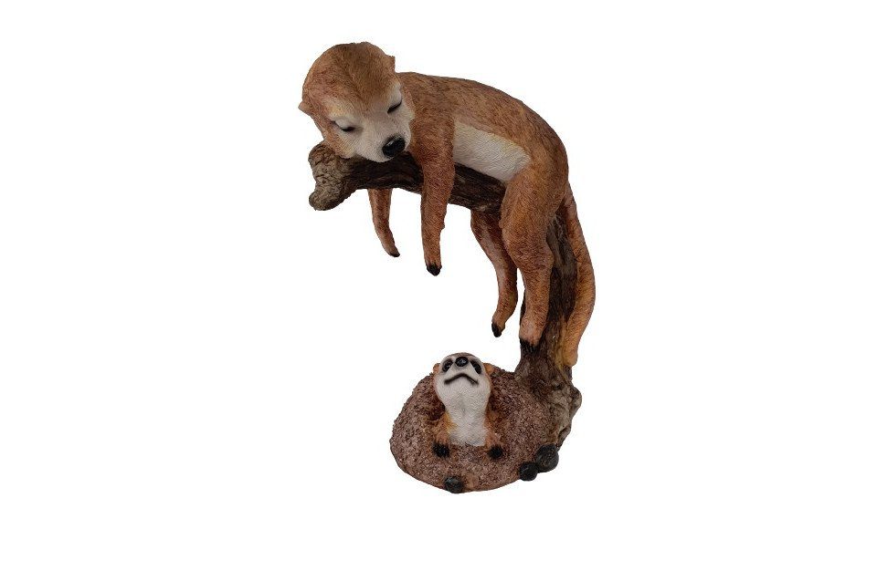 Figurendiscounter Gartenfigur Dekofigur Erdmännchen schlafend 36 x 28 cm braun