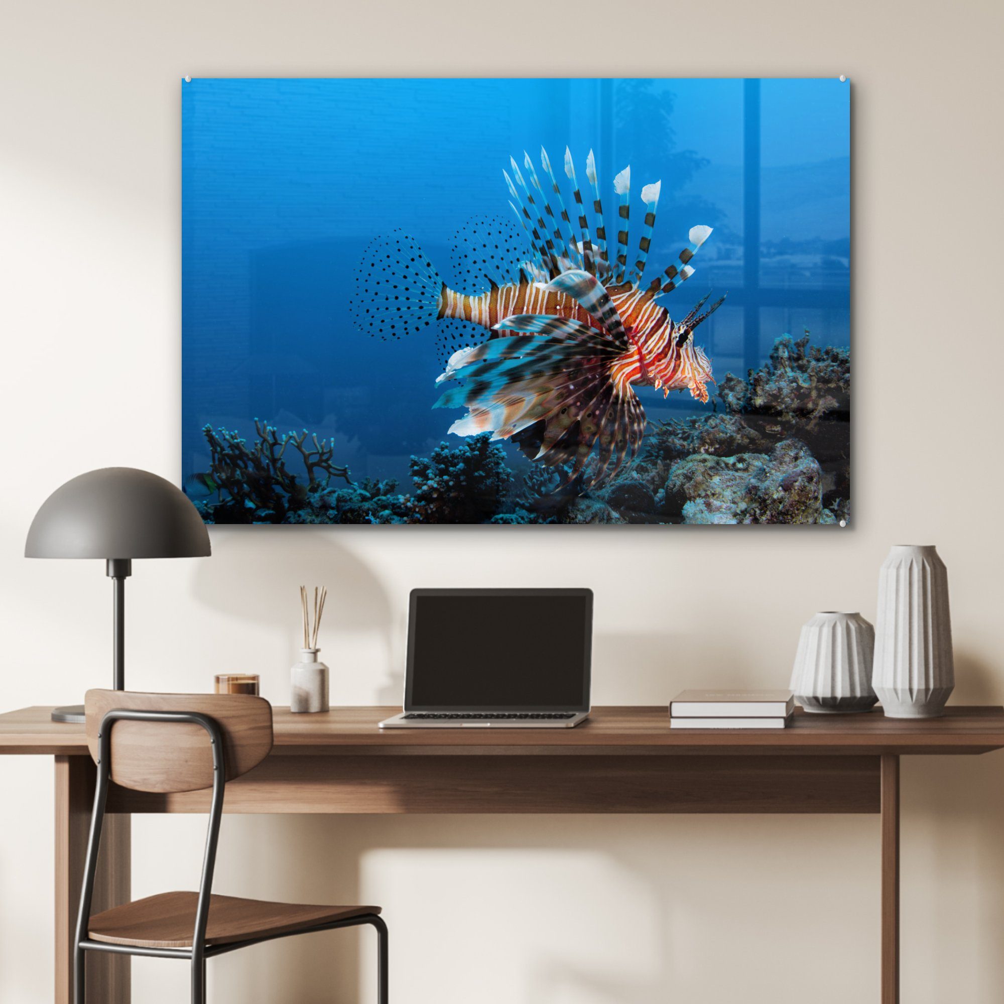 MuchoWow Acrylglasbild - Wohnzimmer St), & Fische Wasser - (1 Korallenteufel, Schlafzimmer Acrylglasbilder