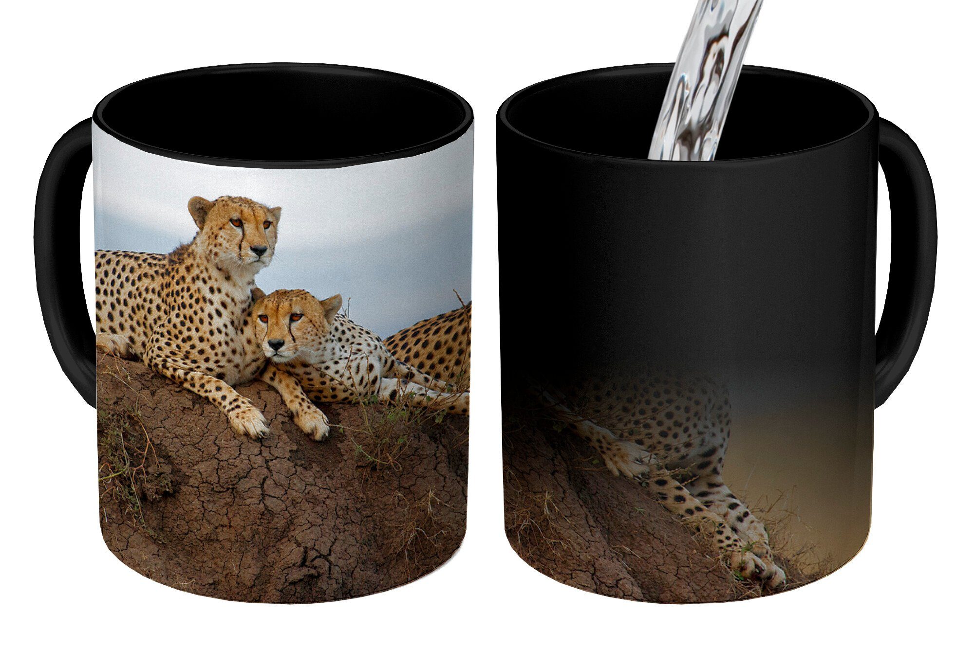 MuchoWow Tasse Drei Geparden auf einem Aussichtshügel, Keramik, Farbwechsel, Kaffeetassen, Teetasse, Zaubertasse, Geschenk | Tassen