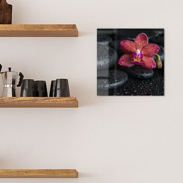 DEQORI Magnettafel 'Blüte und Steine benetzt', Whiteboard Pinnwand beschreibbar