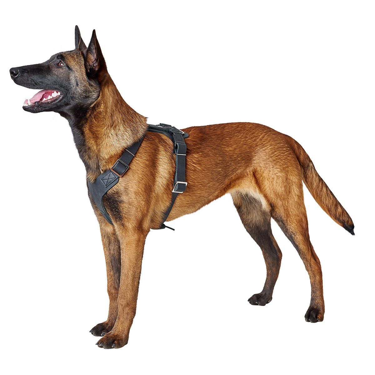 Hunter Tierbedarf Hunde-Geschirr Geschirr Aalborg schwarz günstig online kaufen