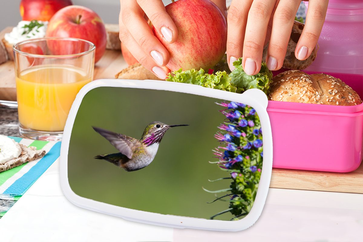 MuchoWow Lunchbox Kolibri - Erwachsene, Kunststoff Vogel, für Brotdose Kunststoff, Pflanze (2-tlg), rosa Snackbox, Mädchen, - Kinder, Brotbox