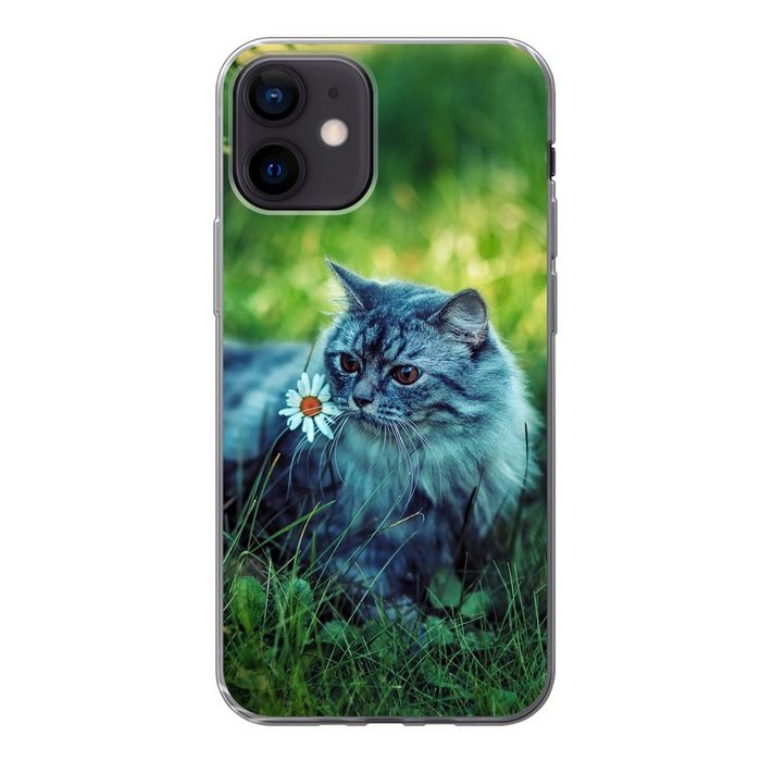 MuchoWow Handyhülle Graue Katze Handyhülle Apple iPhone 12 Smartphone-Bumper Print Handy