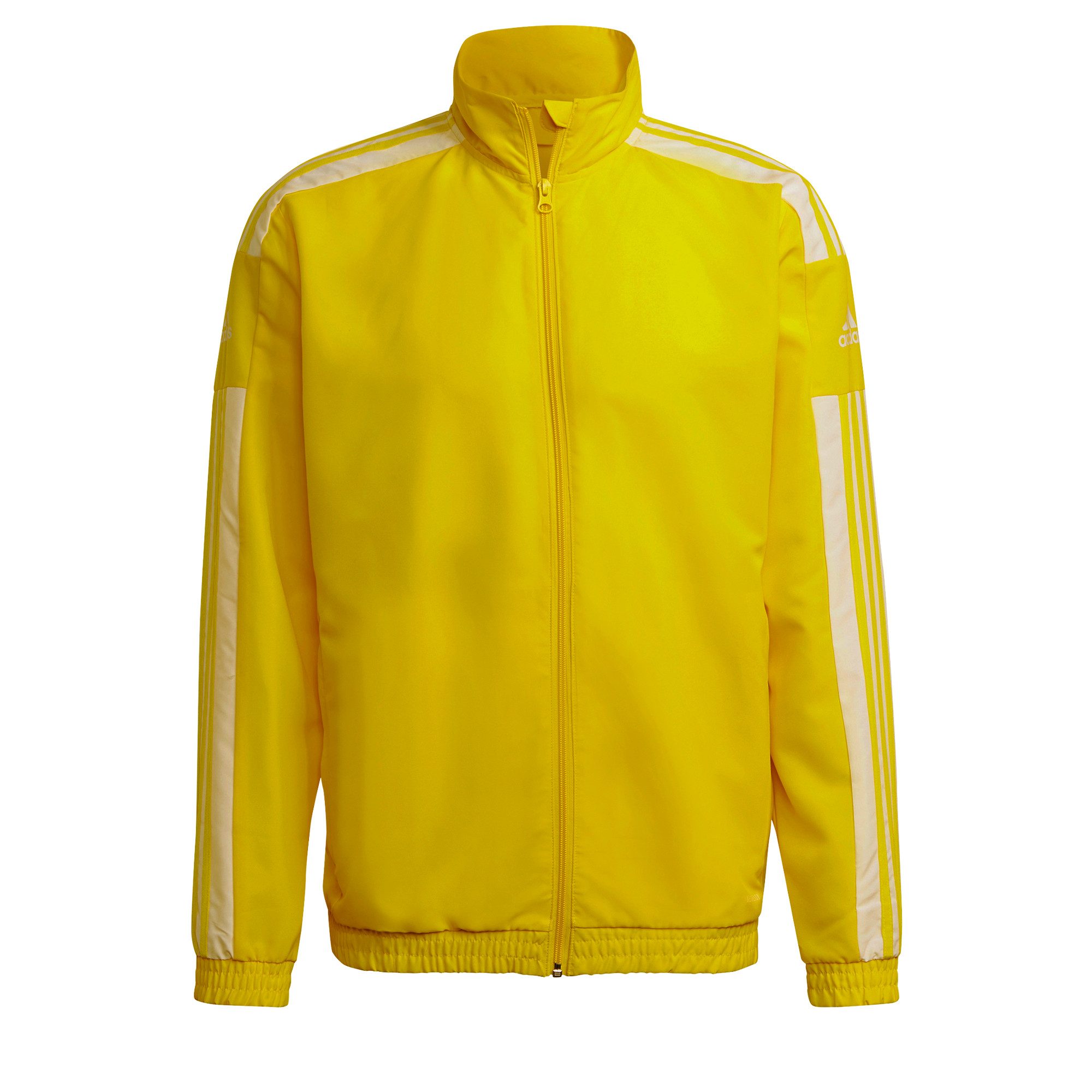 adidas Performance Trainingsjacke adidas Herren Präsentationsjacke Squadra günstig online kaufen