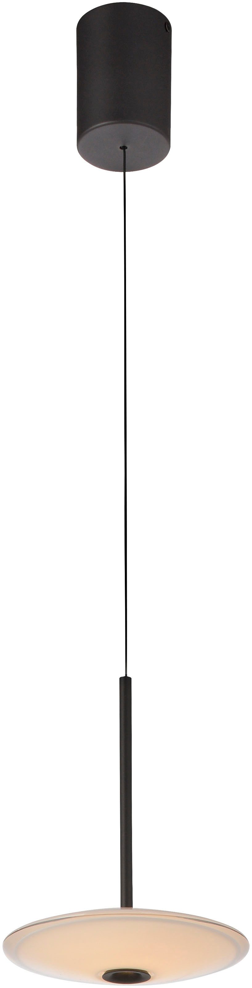 Paul Neuhaus LED Pendelleuchte ELIPSA, LED fest integriert, Warmweiß, Dimmfähig über separaten Tronicdimmer, Comfort-Lift