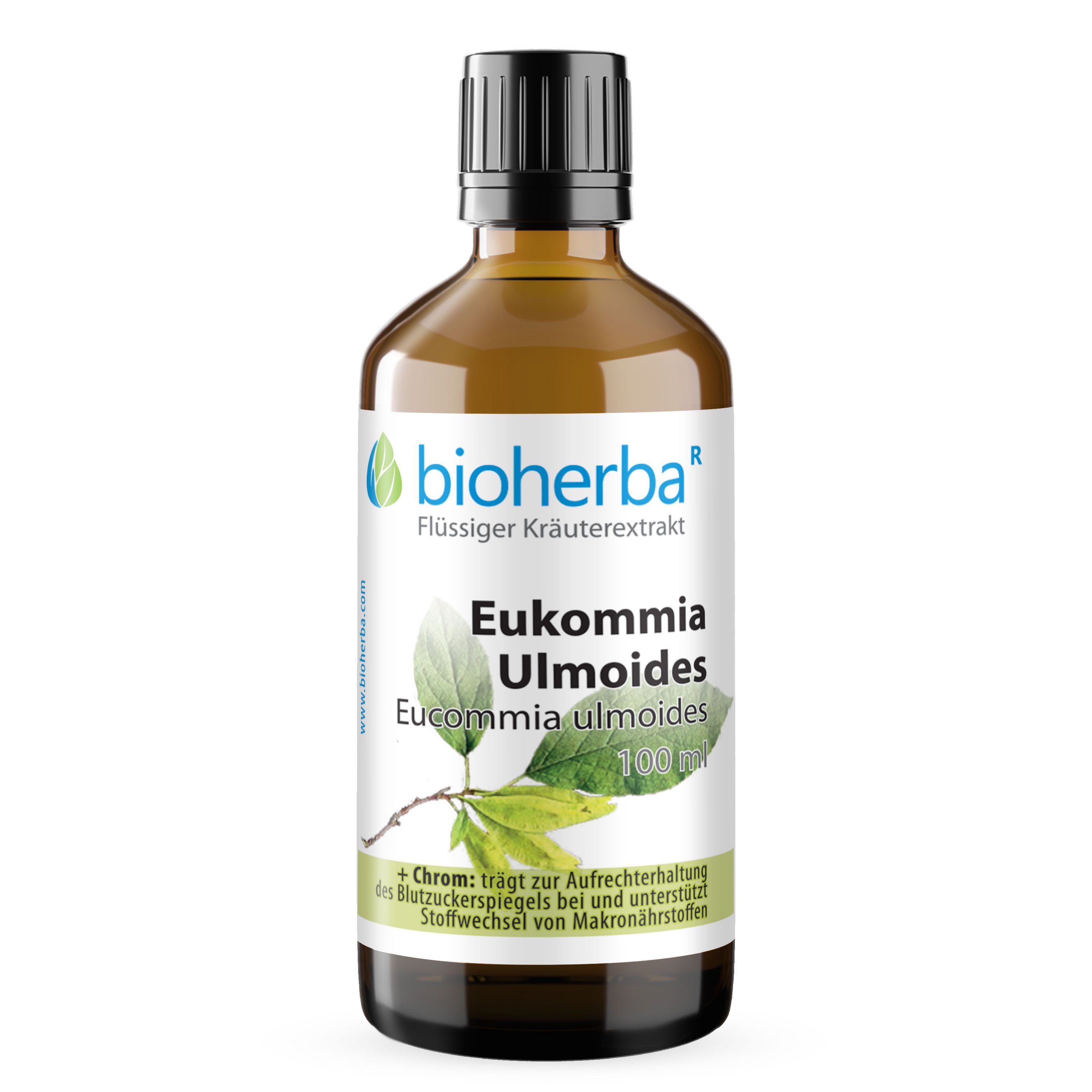BIOHERBA R Bioherba Eukommia Ulmoides Tropfen Tinktur 100 ml Nahrungsergänzungsmittel, 1 er