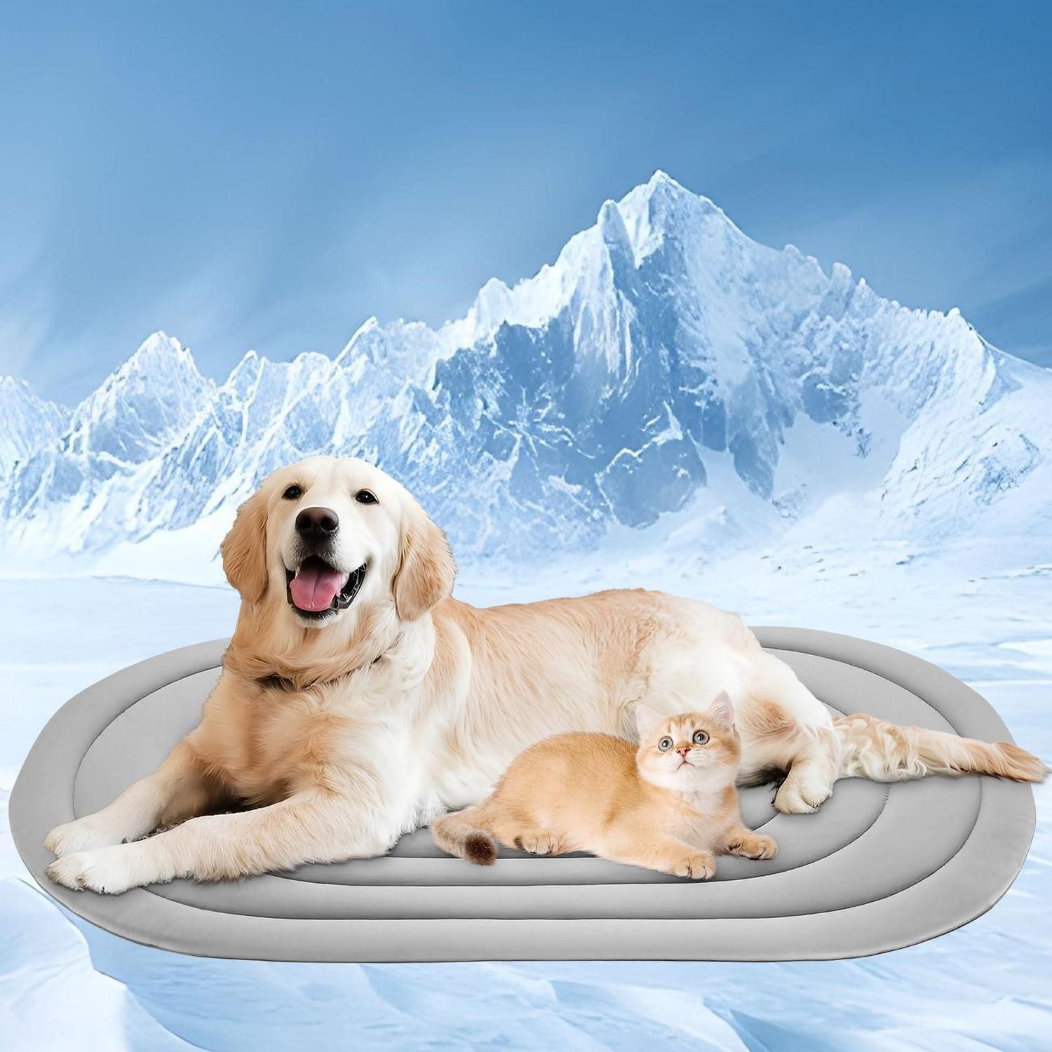 LuxusKollektion Hundematratze Hundekühlmatte 100x70cm doppelseitig