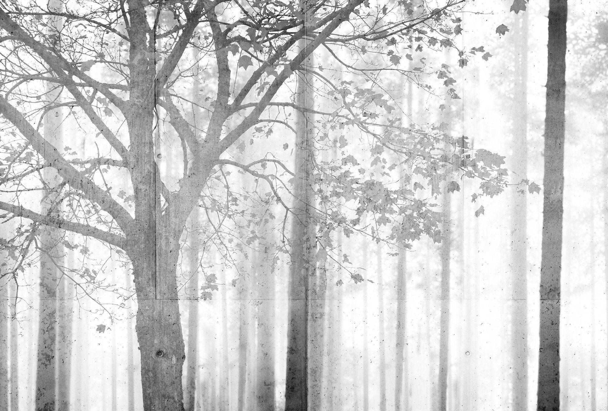 Architects Paper Fototapete Atelier 47 Edge 2, glatt, Wald, (4 St), Wald Fototapete Edge 4,00 m x 2,70 m 200 g Vlies Premium Tapete Natur