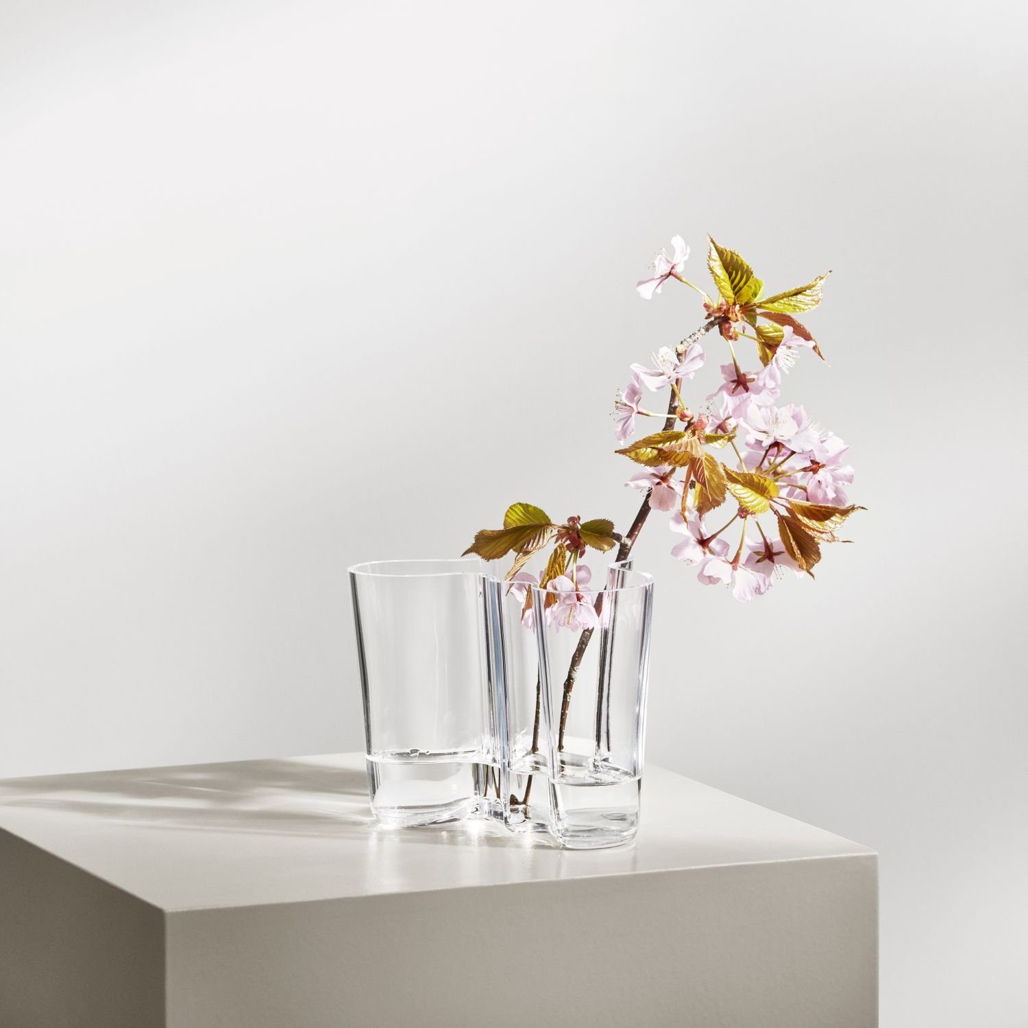 9,5 Aalto cm Dekovase Klar IITTALA