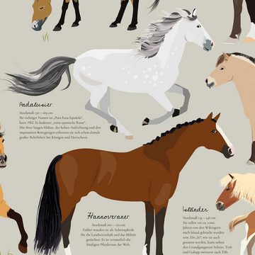 Close Up Poster Pferde dieser Erde Poster Die bekanntesten Pferderassen 61 x