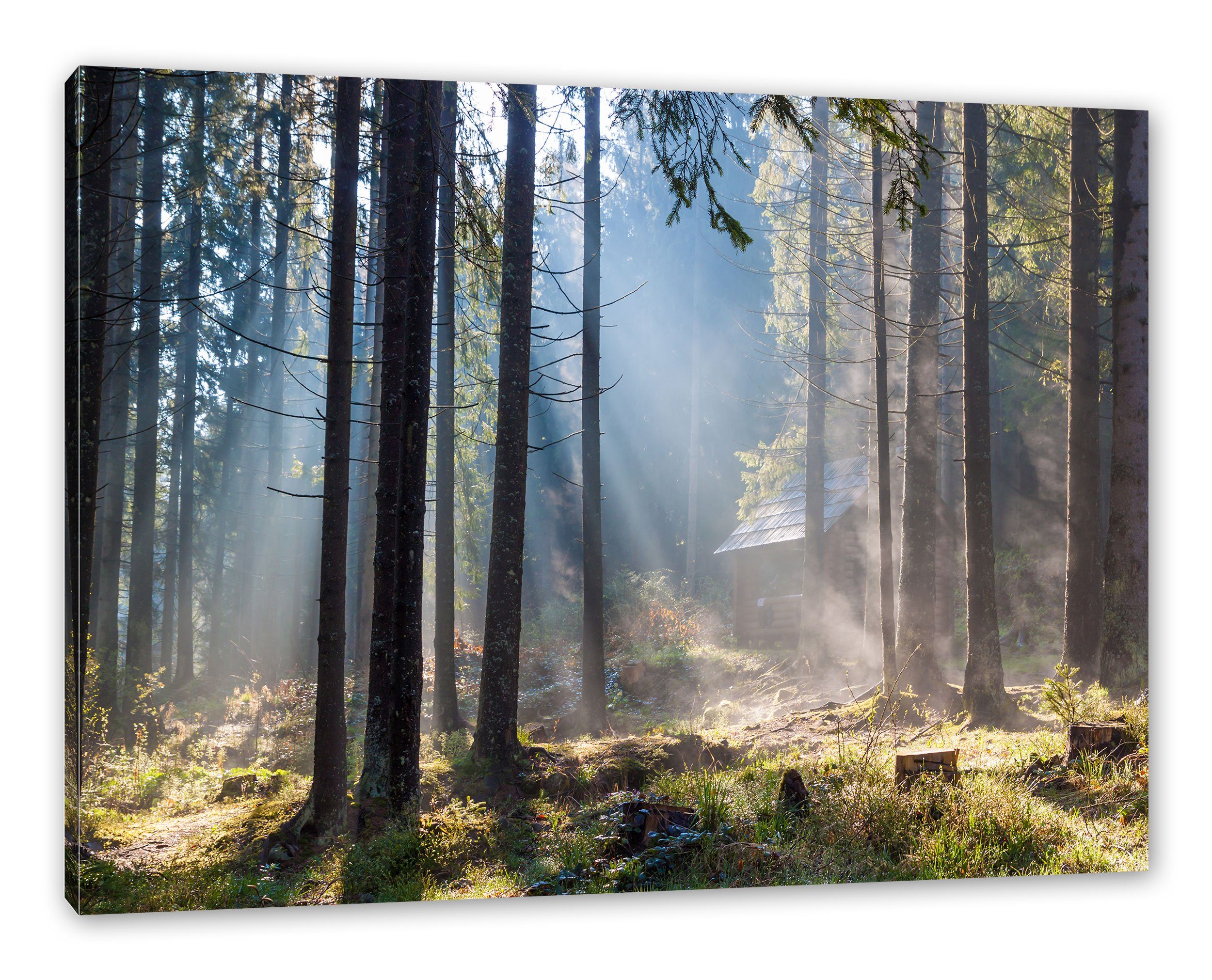 Pixxprint Leinwandbild bespannt, Sonnenstrahlen inkl. Zackenaufhänger fertig Wald im Wald, (1 St), Sonnenstrahlen im Leinwandbild