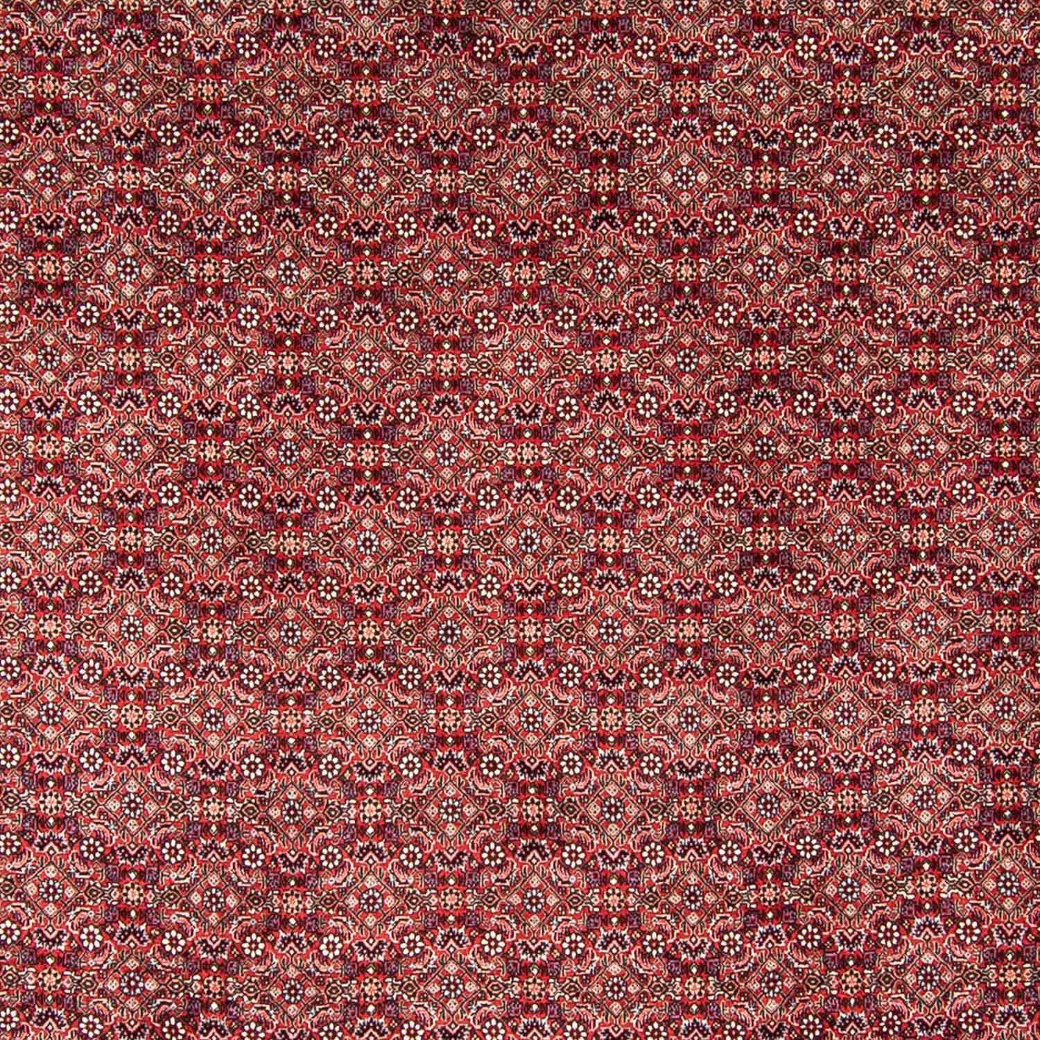 Handgeknüpft, mm, - 350 - rot, rechteckig, Wohnzimmer, - Höhe: Bidjar Einzelstück Zertifikat Orientteppich Perser morgenland, 246 x 15 mit cm