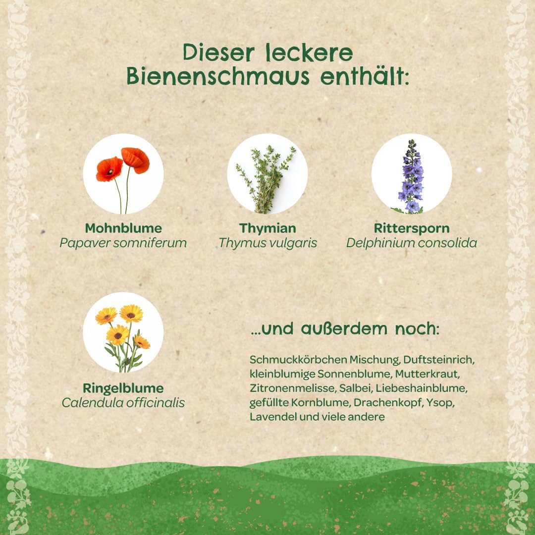 Die Stadtgärtner Blumensamen 5 Saatkugeln im Baumwollsäckchen, Tolles Garten-Geschenk, Ohne Gentechnik, Artenvielfalt fördernd, Samenfest