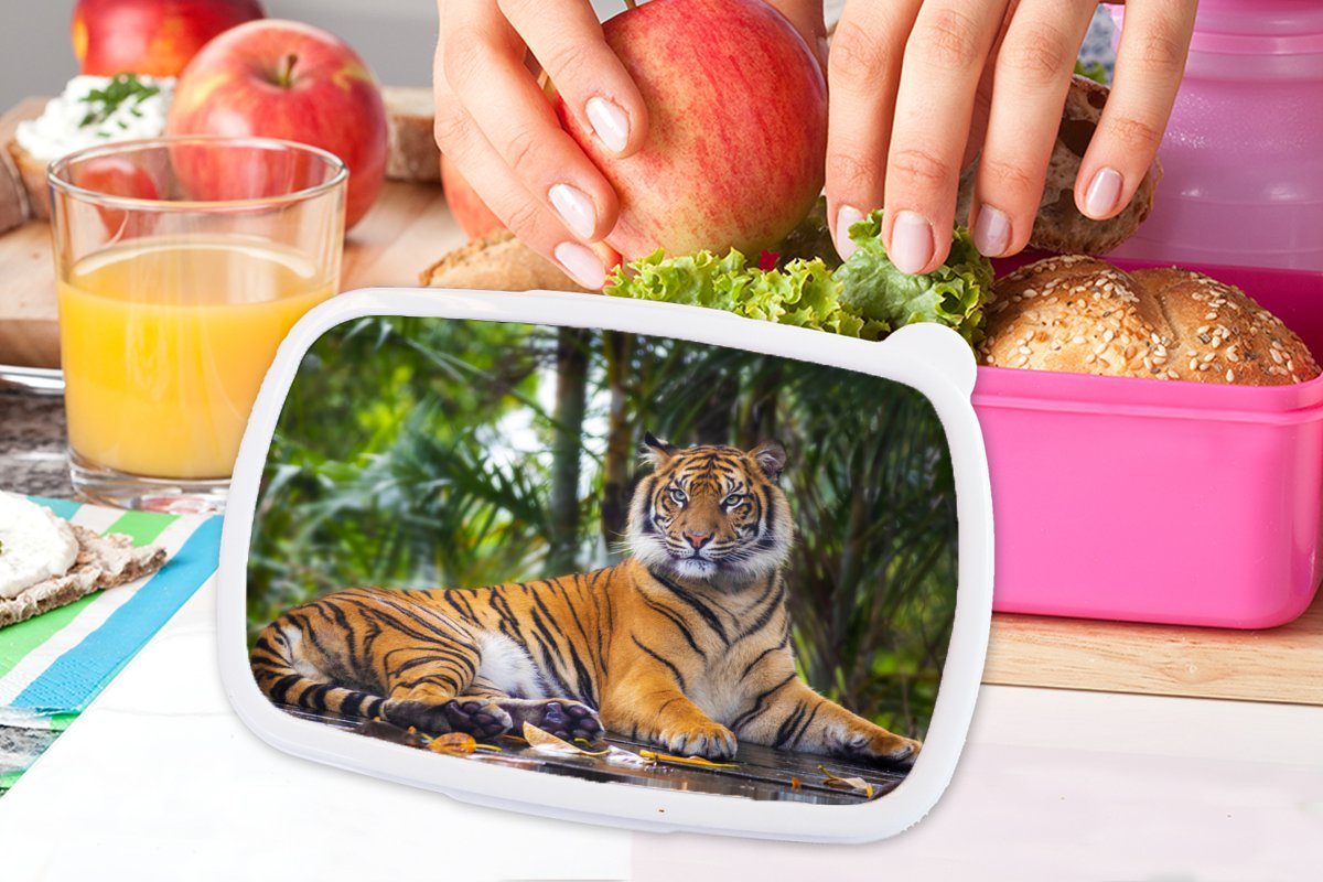 Kunststoff, - rosa für Dschungel, Wald Tiere Erwachsene, - Mädchen, Snackbox, Kinder, Brotdose Tiger - (2-tlg), MuchoWow Lunchbox Brotbox Kunststoff