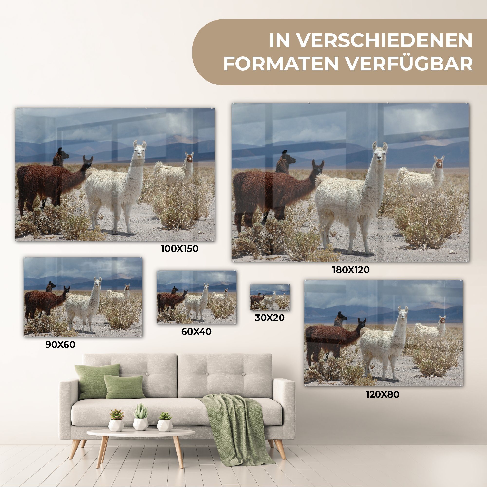 Acrylglasbild Wüste Alpaka - Wohnzimmer MuchoWow St), & (1 - Schlafzimmer Wolken, Acrylglasbilder
