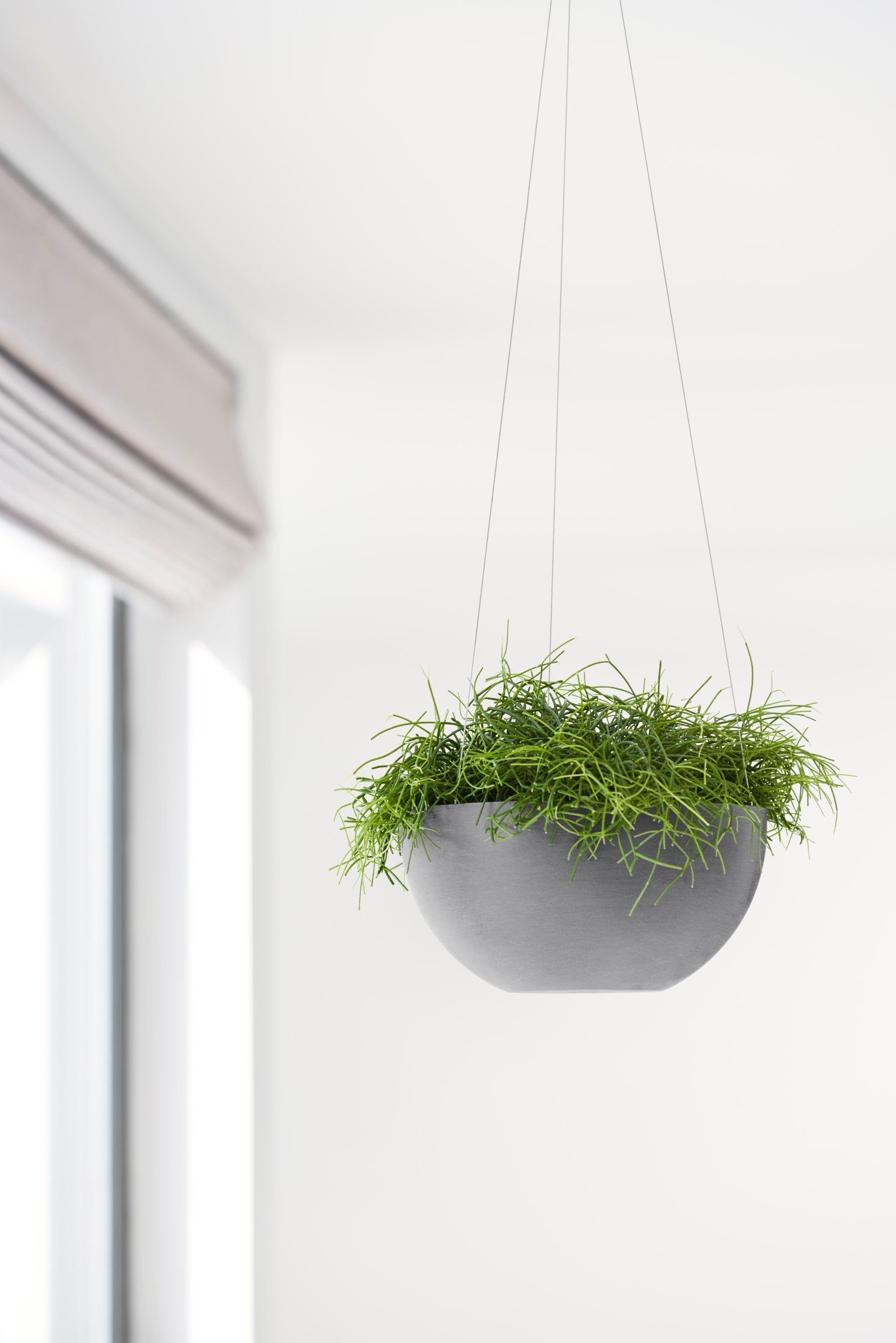 26,5x26,5x13 cm Blumentopf ECOPOTS BxTxH: BRUSSELS Grey, HANGING