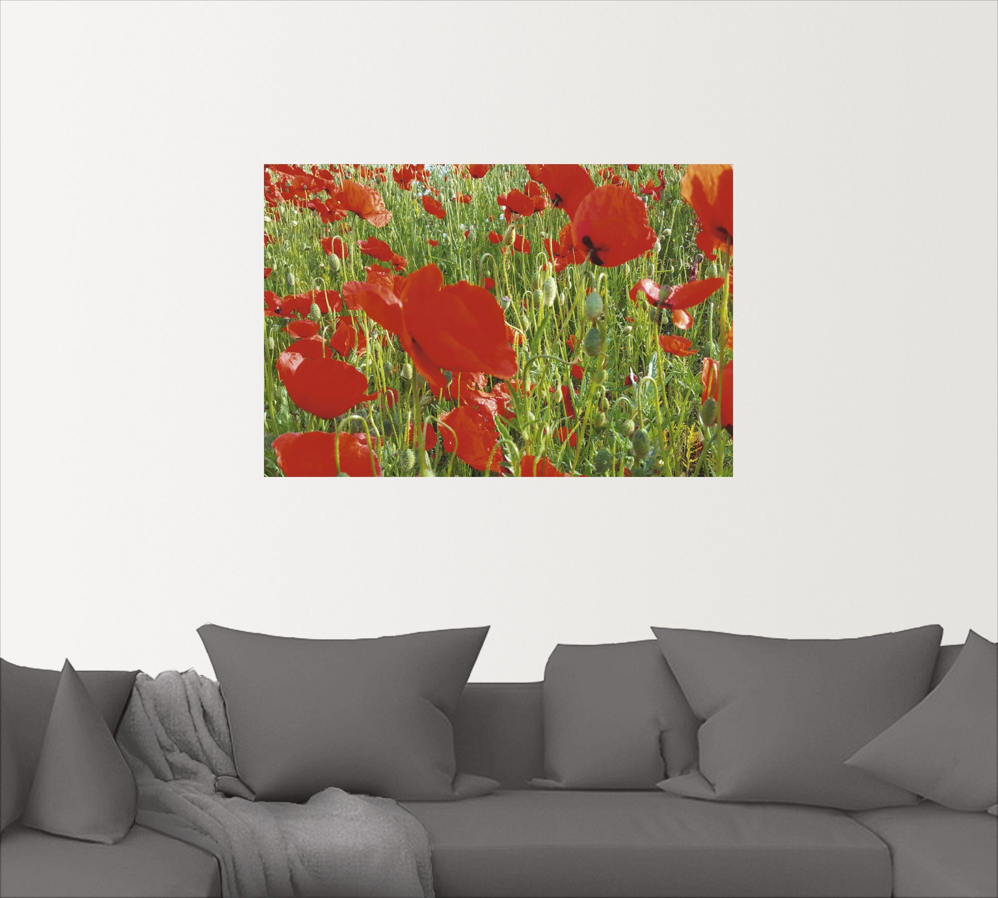 St), Blumen Mohnblumenwiese, oder in Wandaufkleber Leinwandbild, (1 Poster Größen als Artland Wandbild Alubild, versch.