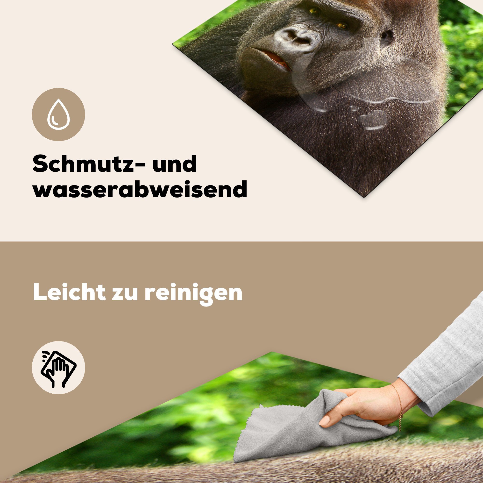 Gorillas, cm, küche, Induktionsmatte 59x52 männlichen (1 Ceranfeldabdeckung Nahaufnahme des eines Gesichts für die Herdblende-/Abdeckplatte Vinyl, tlg), MuchoWow