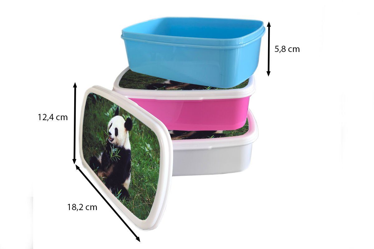 Tiere für Gras, Kunststoff, Erwachsene, Mädchen, Kinder, Wilde rosa MuchoWow - - Bambus Kunststoff (2-tlg), Brotbox Lunchbox Snackbox, Panda - Brotdose
