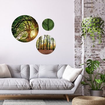 artissimo Mehrteilige Bilder mehrteiliges Bilder-Set 3 Wandbilder rund Wandkreise Wald und Bäume, Landschaft: Bäume und Blätter grün