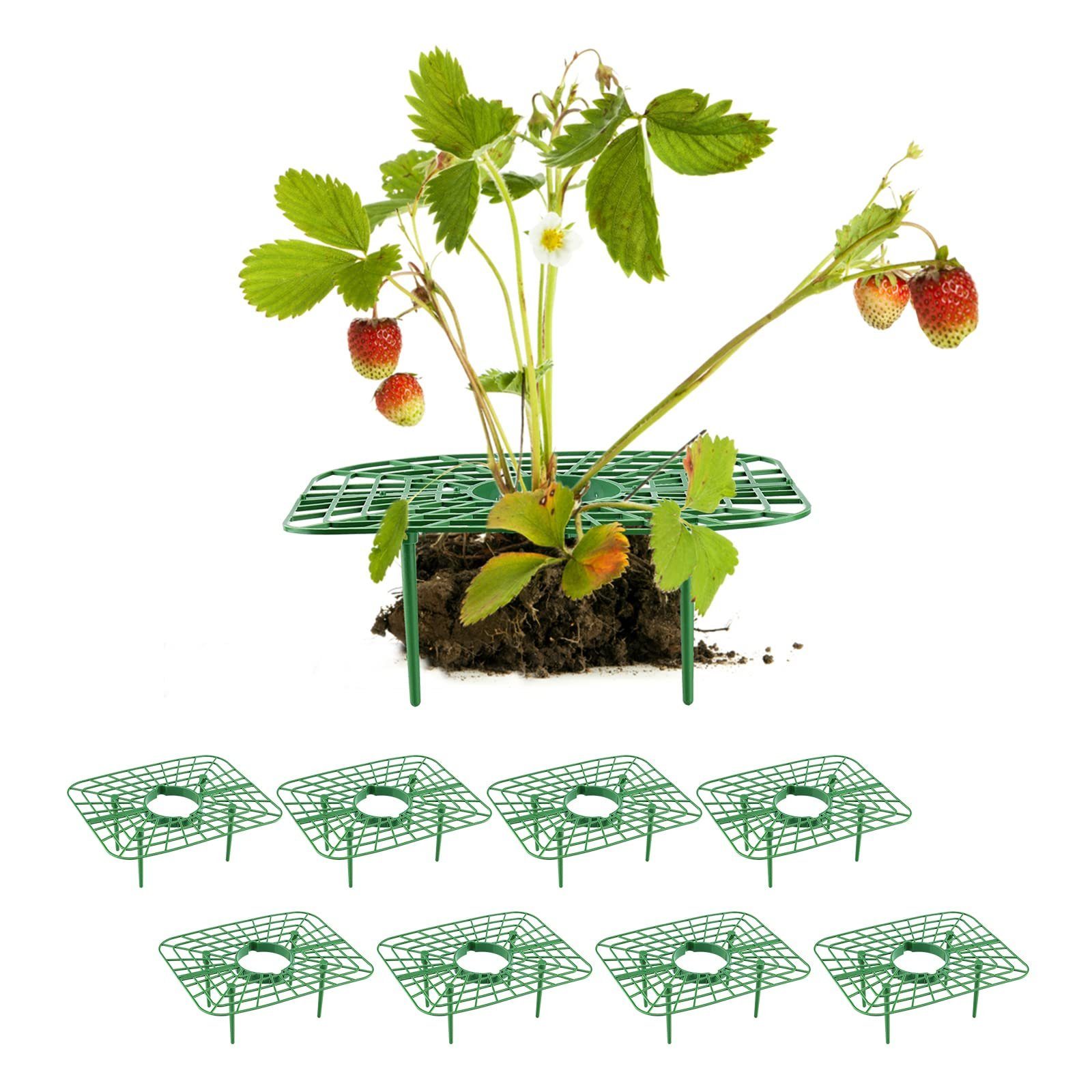 SEEZSSA Blumenständer 8x Erdbeerstützen für Erdbeeren mit 4 Beinen,Erdbeer-Pflanzenständer, Pflanzenregal,Balkon-Gemüseregal,Erhöhung von Obst/Gemüse,Kunststoff