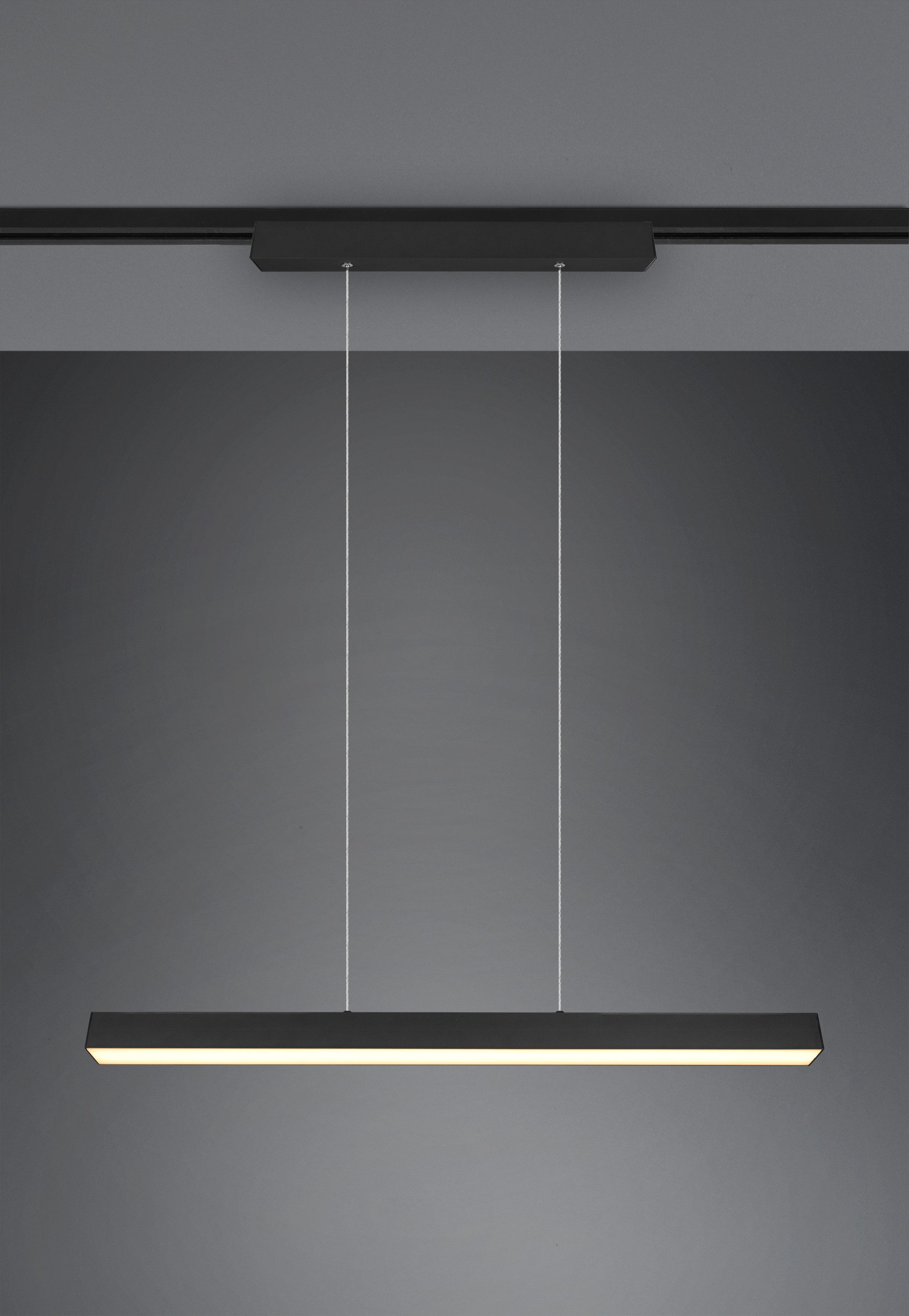 TRIO Leuchten Pendelleuchte TRIO-Leuchten Pendelleuchte DUOLINE BHT 90x180x5 cm schwarz, Warmweiß