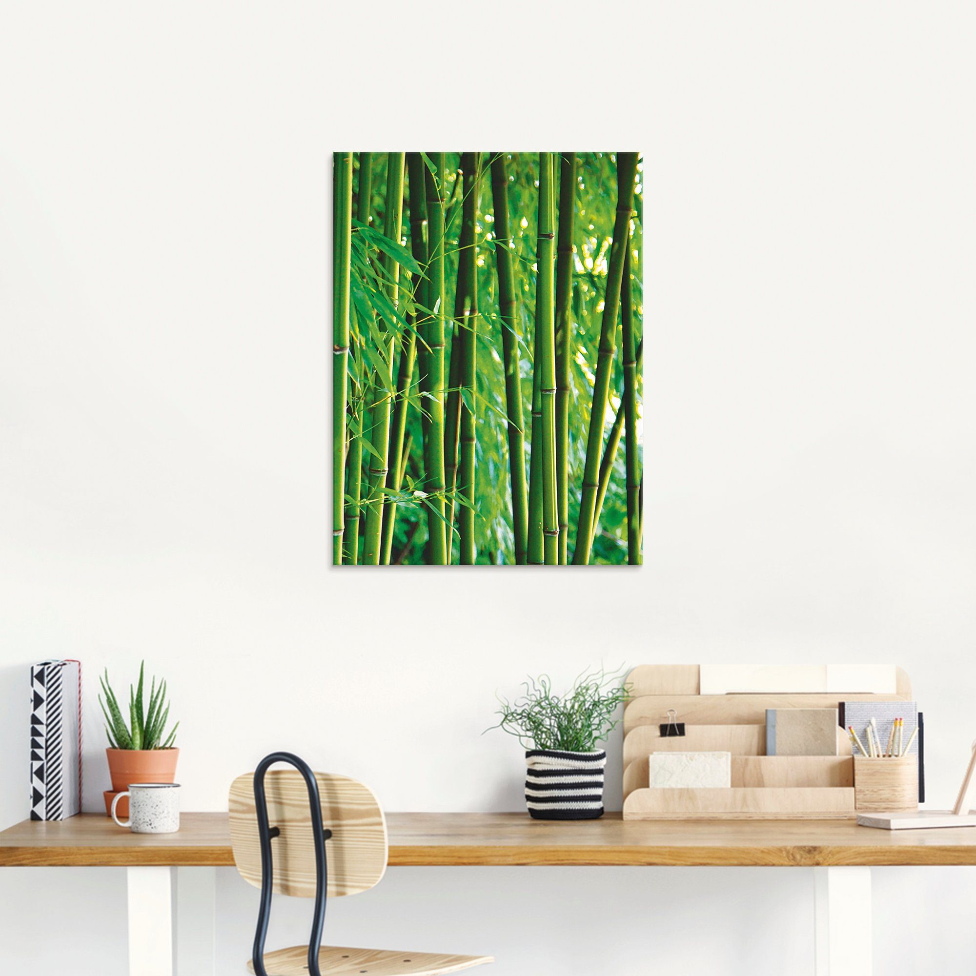 in Größen Gräser Bambus, Glasbild verschiedenen St), (1 Artland