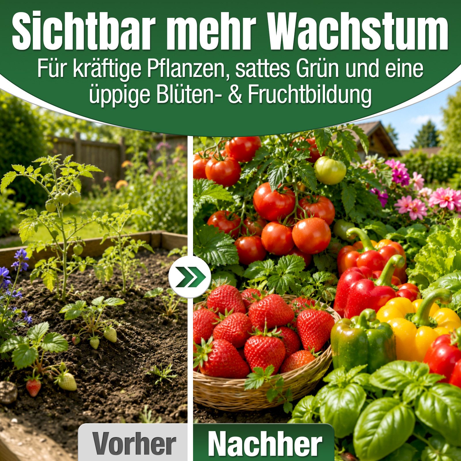 DÜNGEMEISTER Gartendünger Gartendünger Dünger Premium Langzeitwirkung 5/10kg, sorgt für ausgewogene Nährstoffversorgung und gesunden Boden – Bild 3 von 5