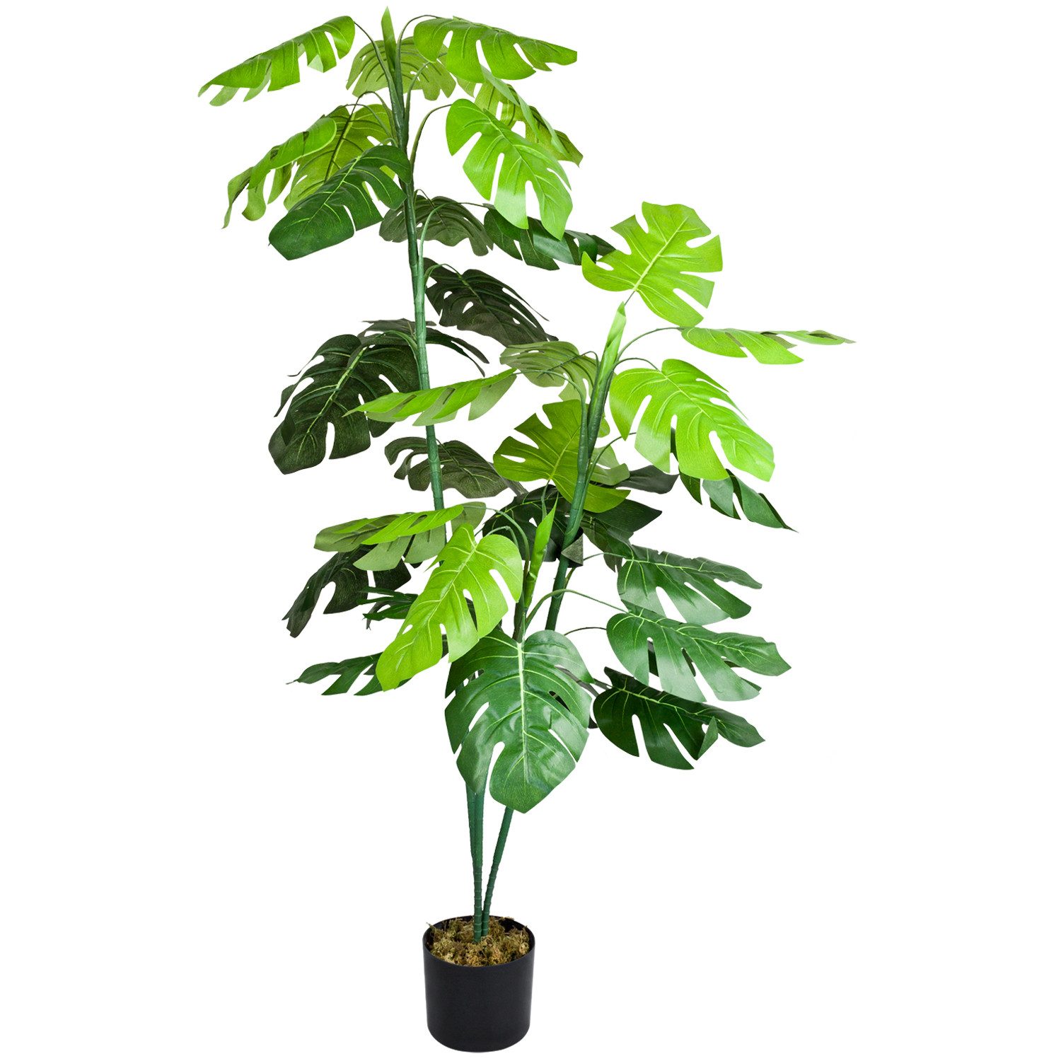 Kunstbaum Monstera Fensterblatt Kunstpflanze Kunstbaum Künstliche Pflanze 140 cm Monstera, Decovego, Höhe 140 cm. Reduzierter Preis € 39,99. Unverbindliche Preisempfehlung € 51,99
