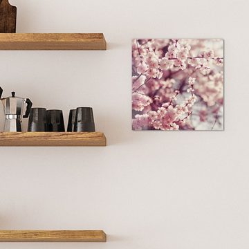 DEQORI Magnettafel 'Kirschblütenzweige', Whiteboard Pinnwand beschreibbar