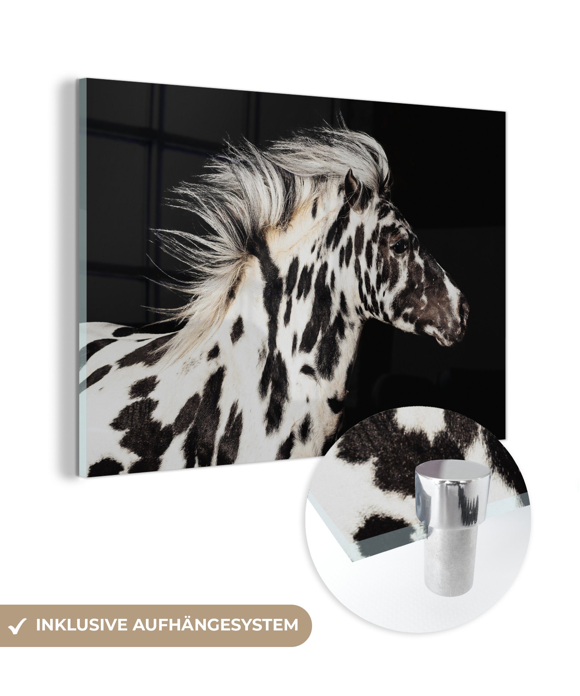 MuchoWow Acrylglasbild Pferd - Punkte - Weiß, (1 St), Glasbilder - Bilder auf Glas Wandbild - Foto auf Glas - Wanddekoration