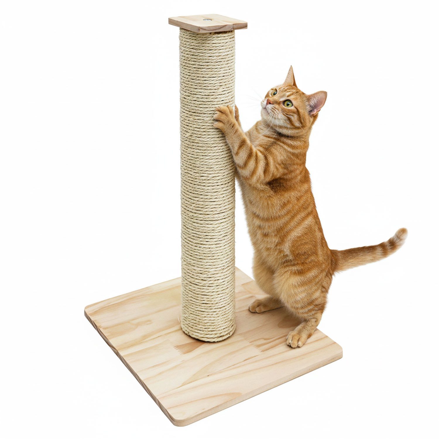 eyepower Kratzbaum Klein - 62 cm Kratzstamm mit Holzplatte Sisal Kratzsäule für Katzen, Katzenkratzbaum mit Massivholz Fußplatte - Sisalstamm Katze Stabil