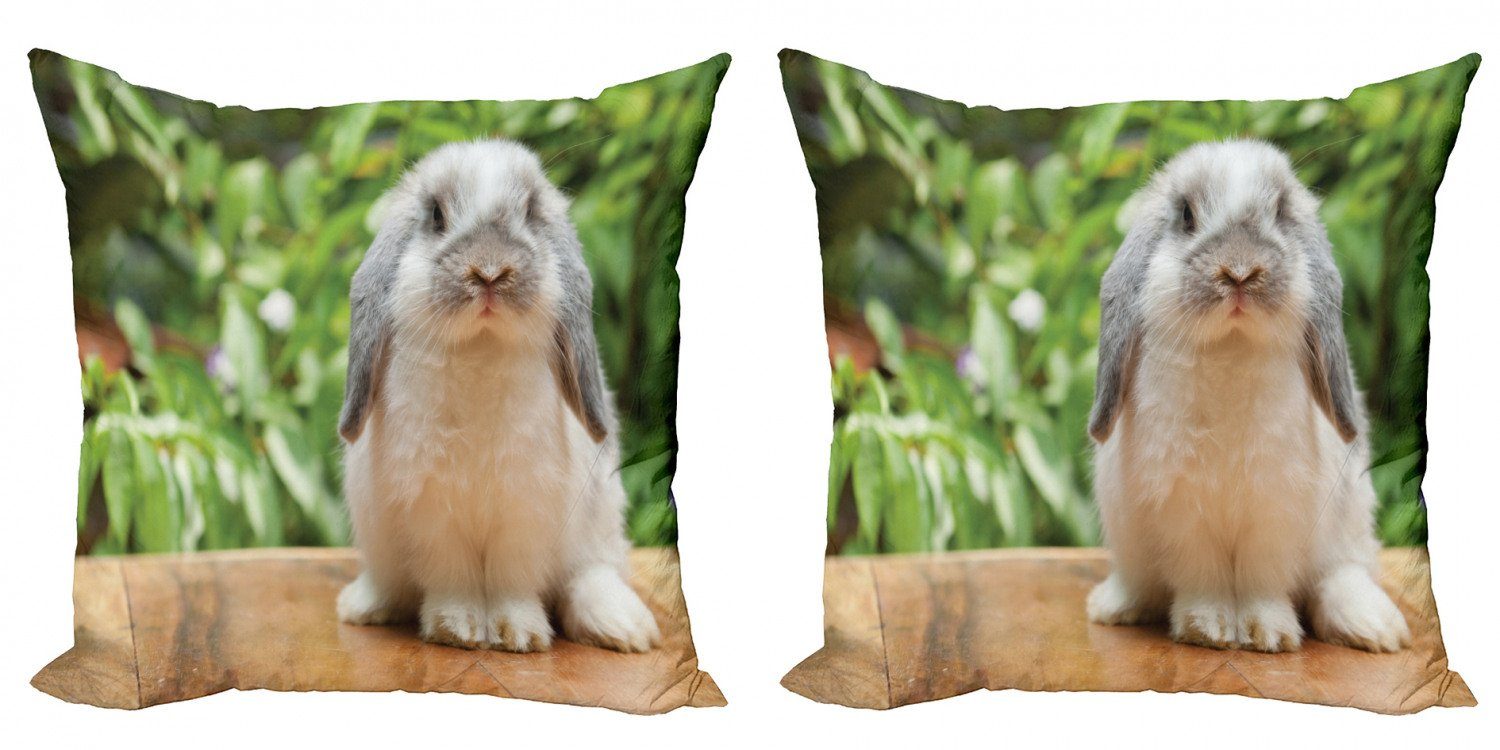 Kissenbezüge Modern Accent Doppelseitiger Digitaldruck, Abakuhaus (2 Stück), Hase Foto von Holland Lop Rabbit