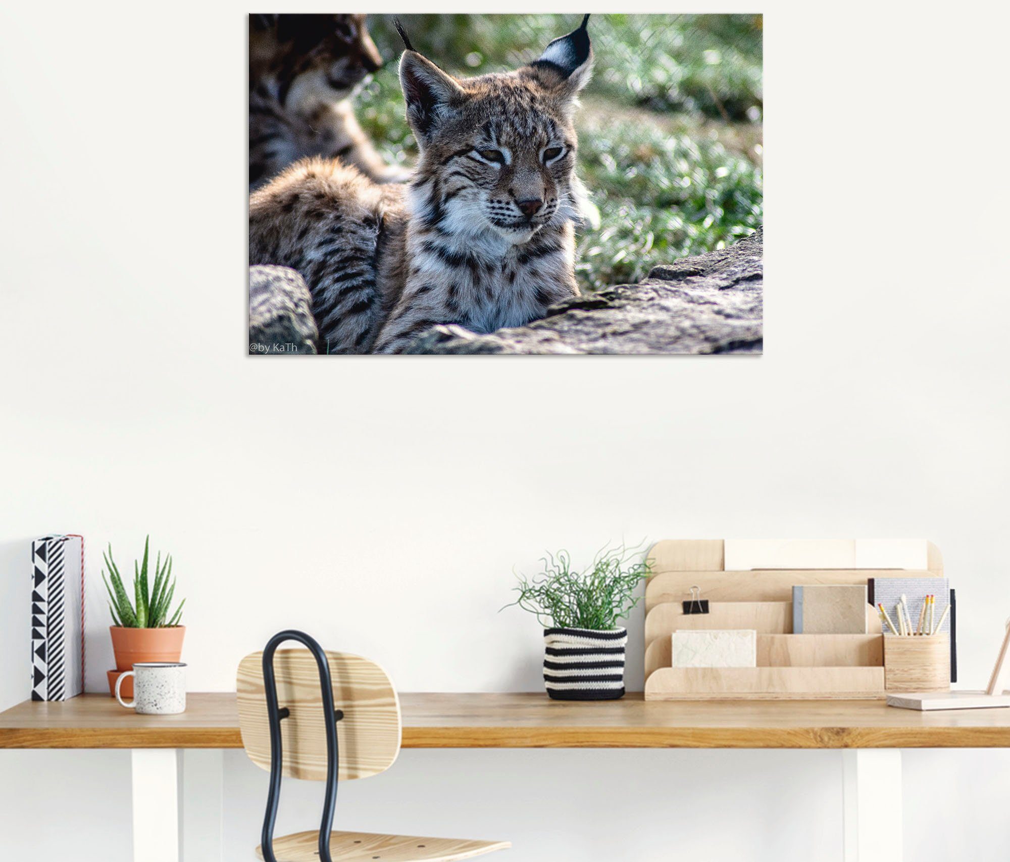 Artland Wandbild »Luchs«, Wildtiere (1 Stück), in vielen Größen & Produktarten - Alubild / Outdoorbild für den Außenbereich, Leinwandbild, Poster, Wandaufkleber / Wandtattoo auch für Badezimmer geeignet-kaufen