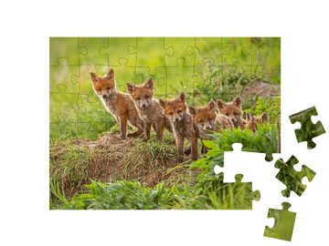 puzzleYOU Puzzle Neugierige kleine Rotfüchse erkunden die Welt, 48 Puzzleteile, puzzleYOU-Kollektionen Füchse, Tiere in Wald & Gebirge