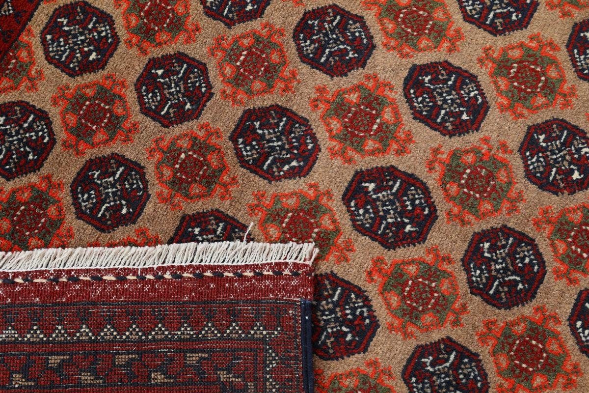 Orientteppich Afghan Mauri Nain rechteckig, 248x344 Orientteppich, Handgeknüpfter Trading, mm 6 Höhe
