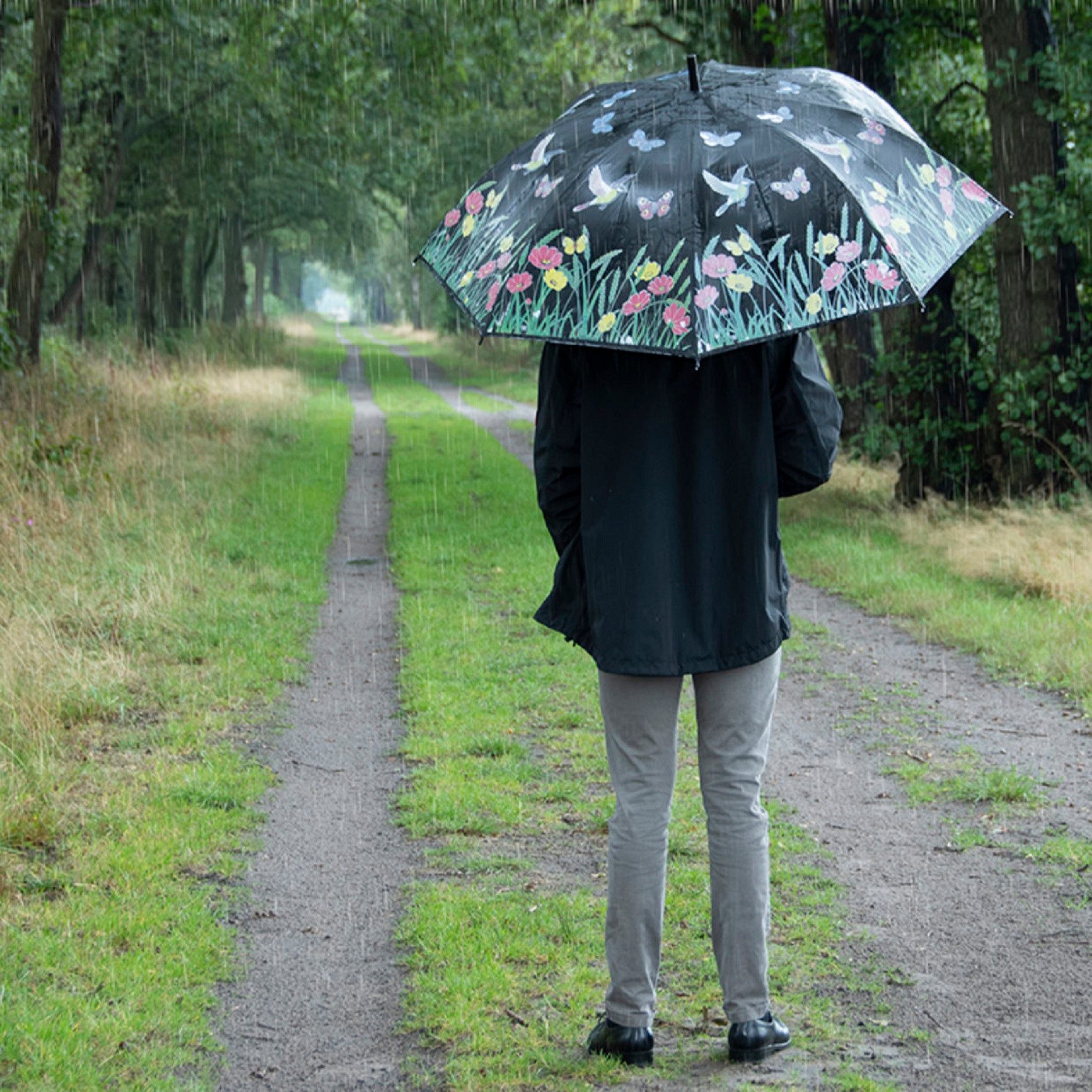degawo Stockregenschirm Farbwechsel bei Nässe Regenschirm Schwarz bunte Schmetterlinge Blumen