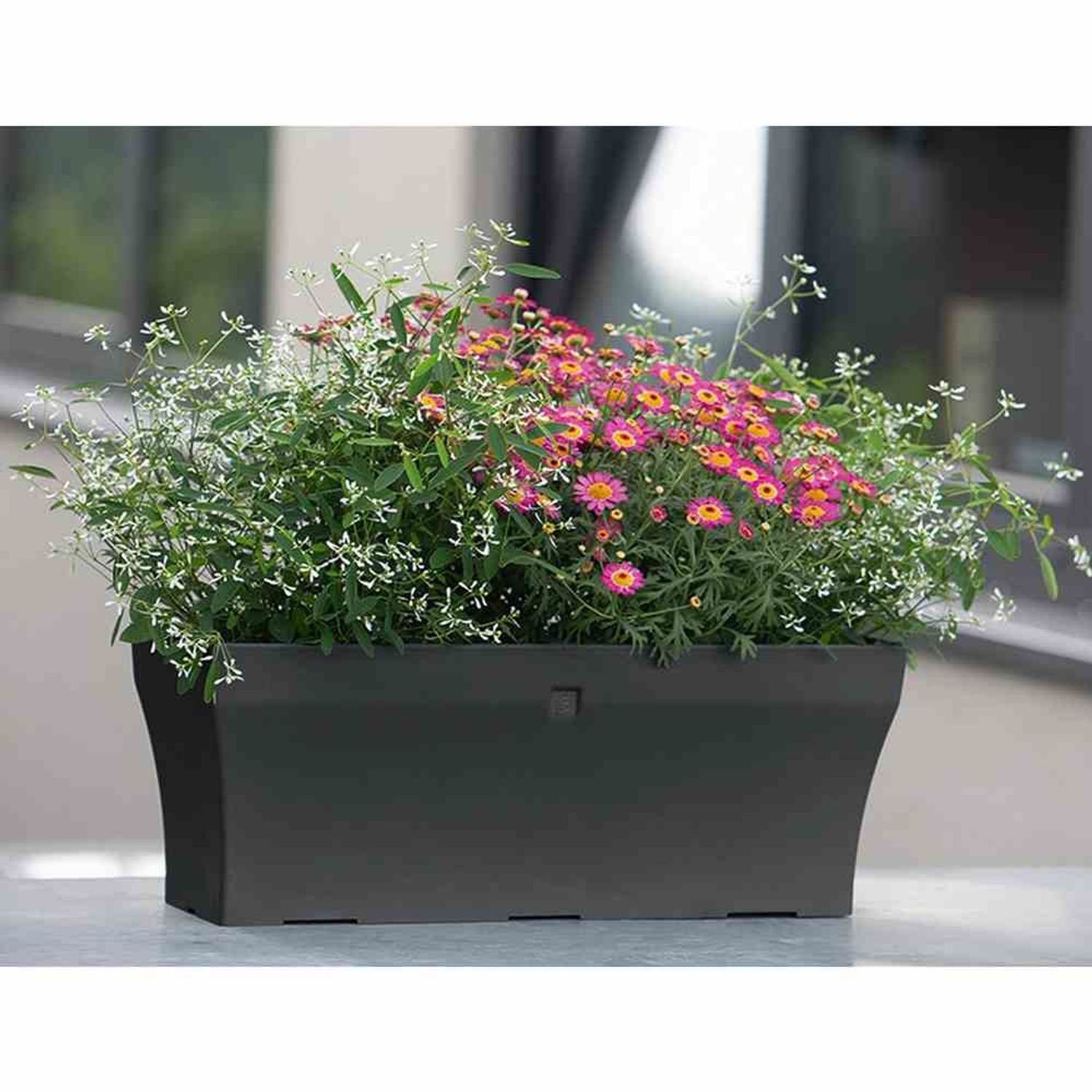 Geli Pflanzkübel Bewässerungskasten NEO-Line, 50 cm, anthrazit