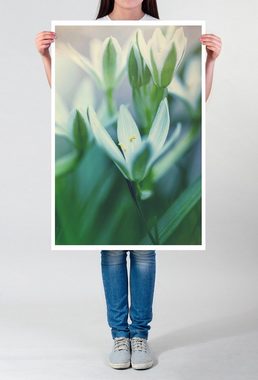 Sinus Art Poster 60x90cm Poster Künstlerische Fotografie  Schneeglöckchen im Frühlingslicht