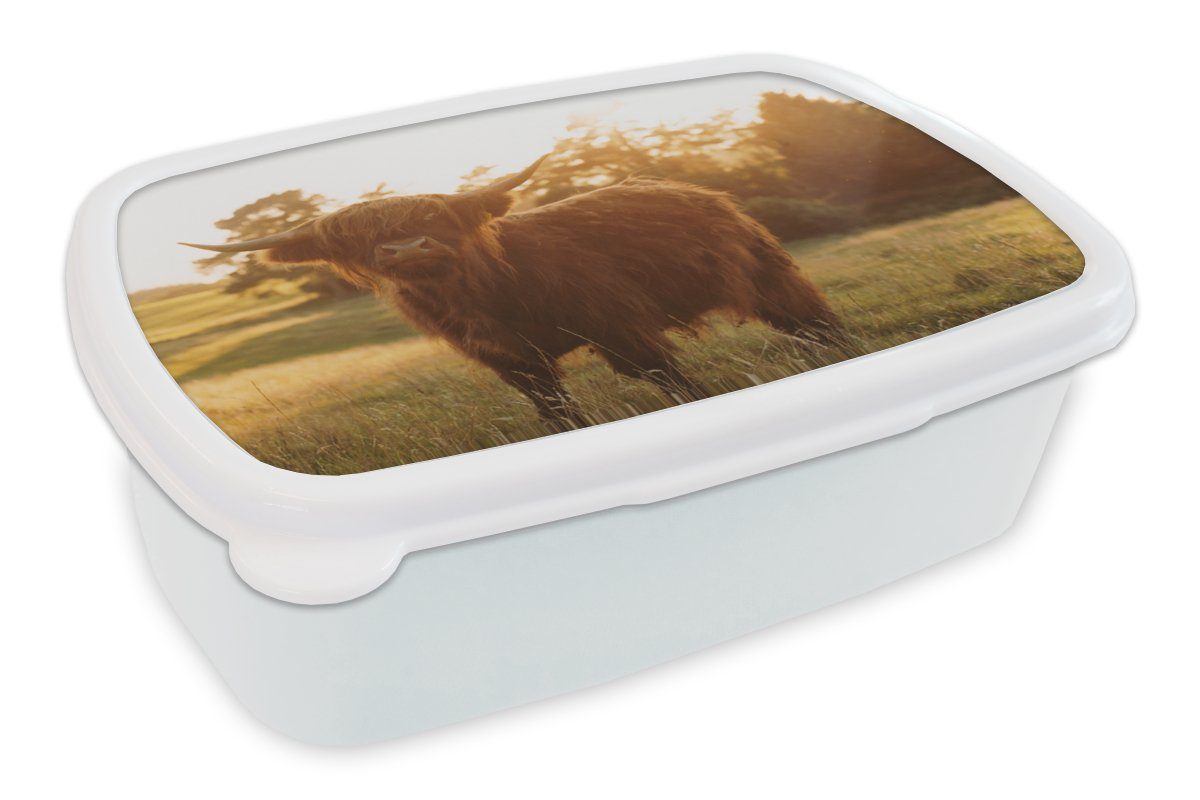 (2-tlg), Sonne, und Brotdose, Erwachsene, Lunchbox Schottischer Mädchen Brotbox Hochländer für Kinder - weiß für Gras MuchoWow Jungs - Kunststoff, und