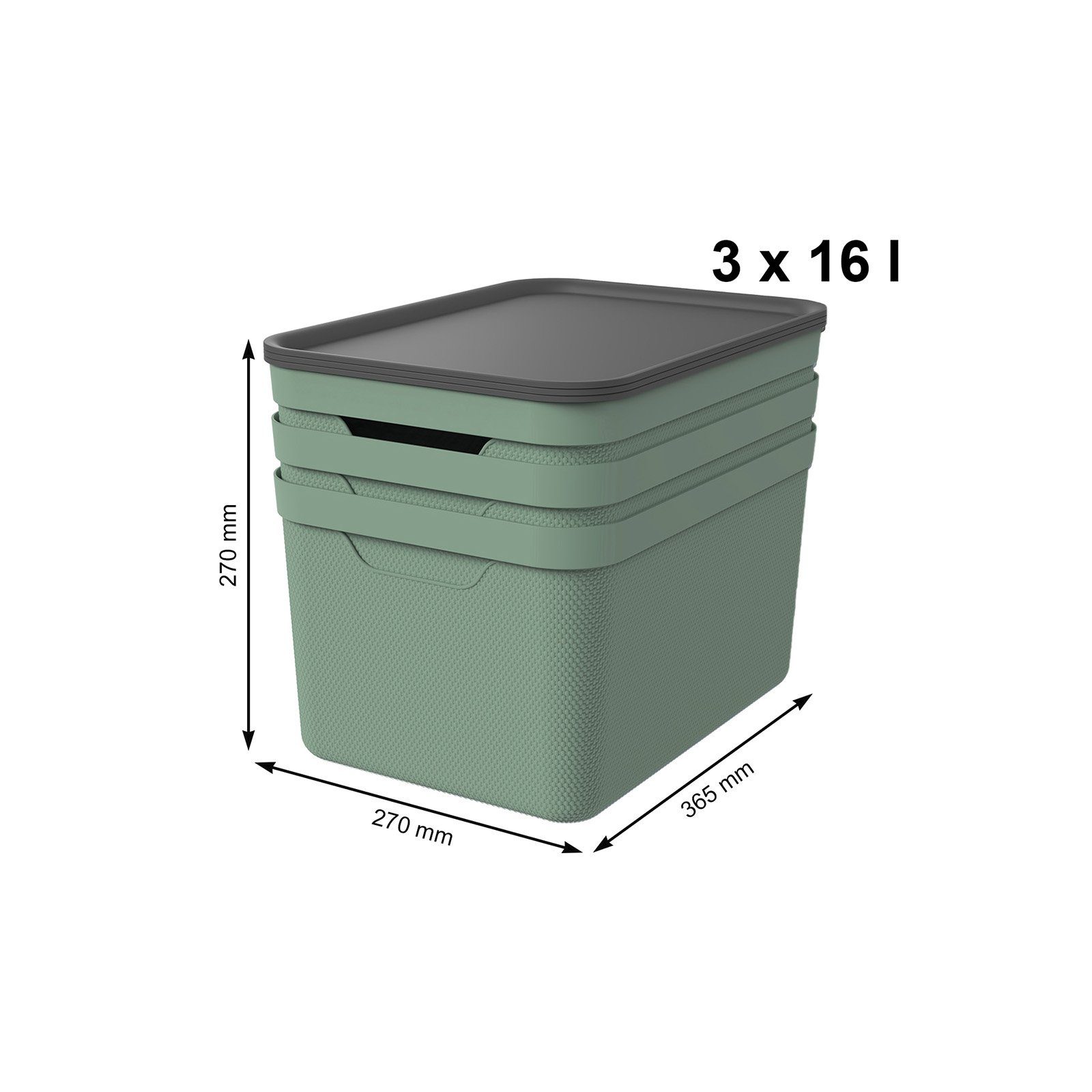 ROTHO Aufbewahrungsbox mit Deckel, Kunststoff (PP recycelt) ( Aufbewahrungsboxen, 3er-Set)