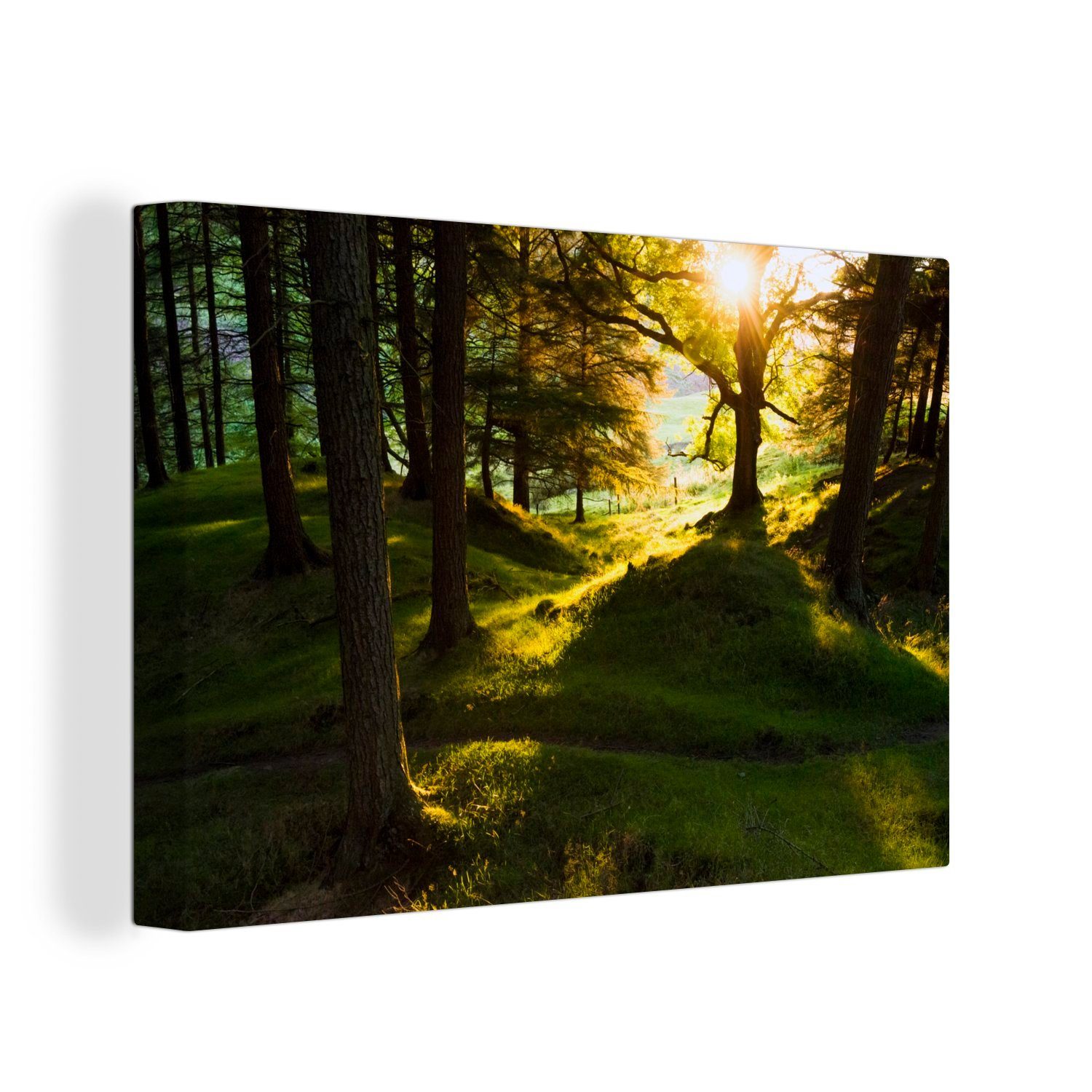 OneMillionCanvasses® Leinwandbild Sonne tanken in den Wäldern des Peak District National Park, (1 St), Wandbild Leinwandbilder, Aufhängefertig, Wanddeko, 30x20 cm