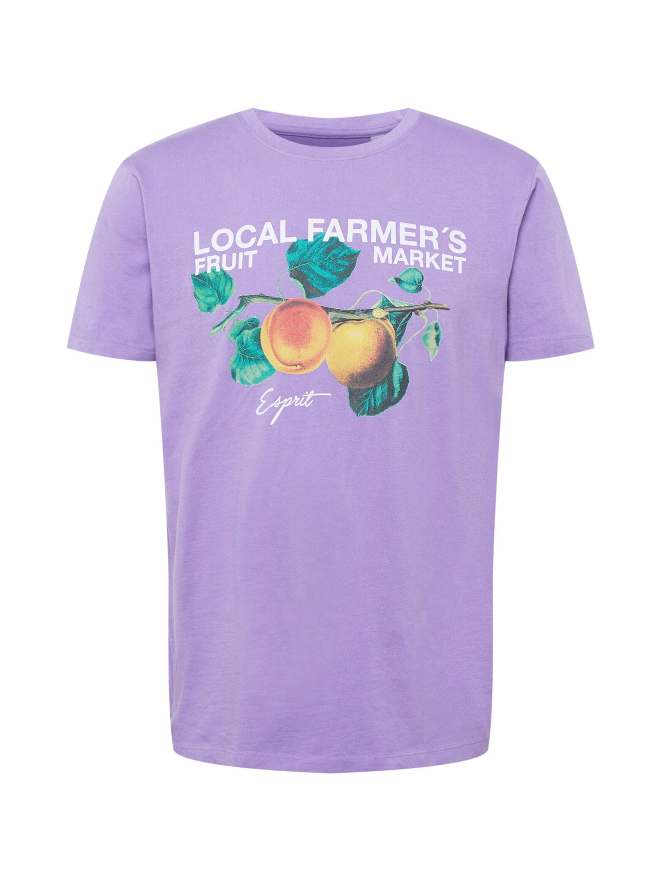 Esprit T-Shirt (1-tlg) lilac