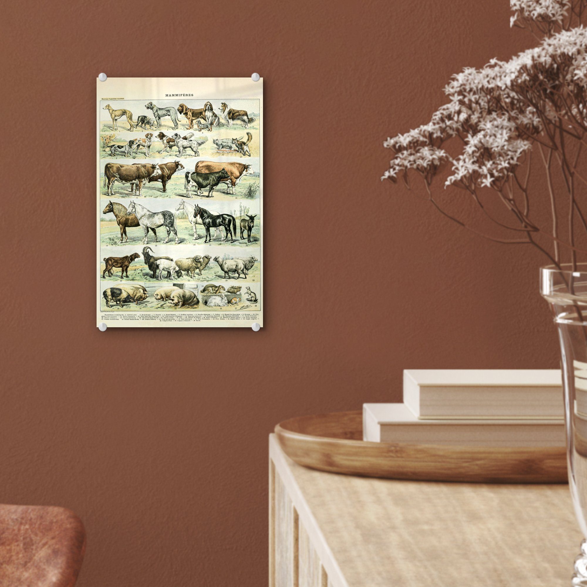 MuchoWow Acrylglasbild Tiere - Wandbild bunt (1 - Illustration - auf Wanddekoration Pferde Millot, - - Glas St), Glasbilder Bilder - auf - Adolphe Glas Vintage Foto