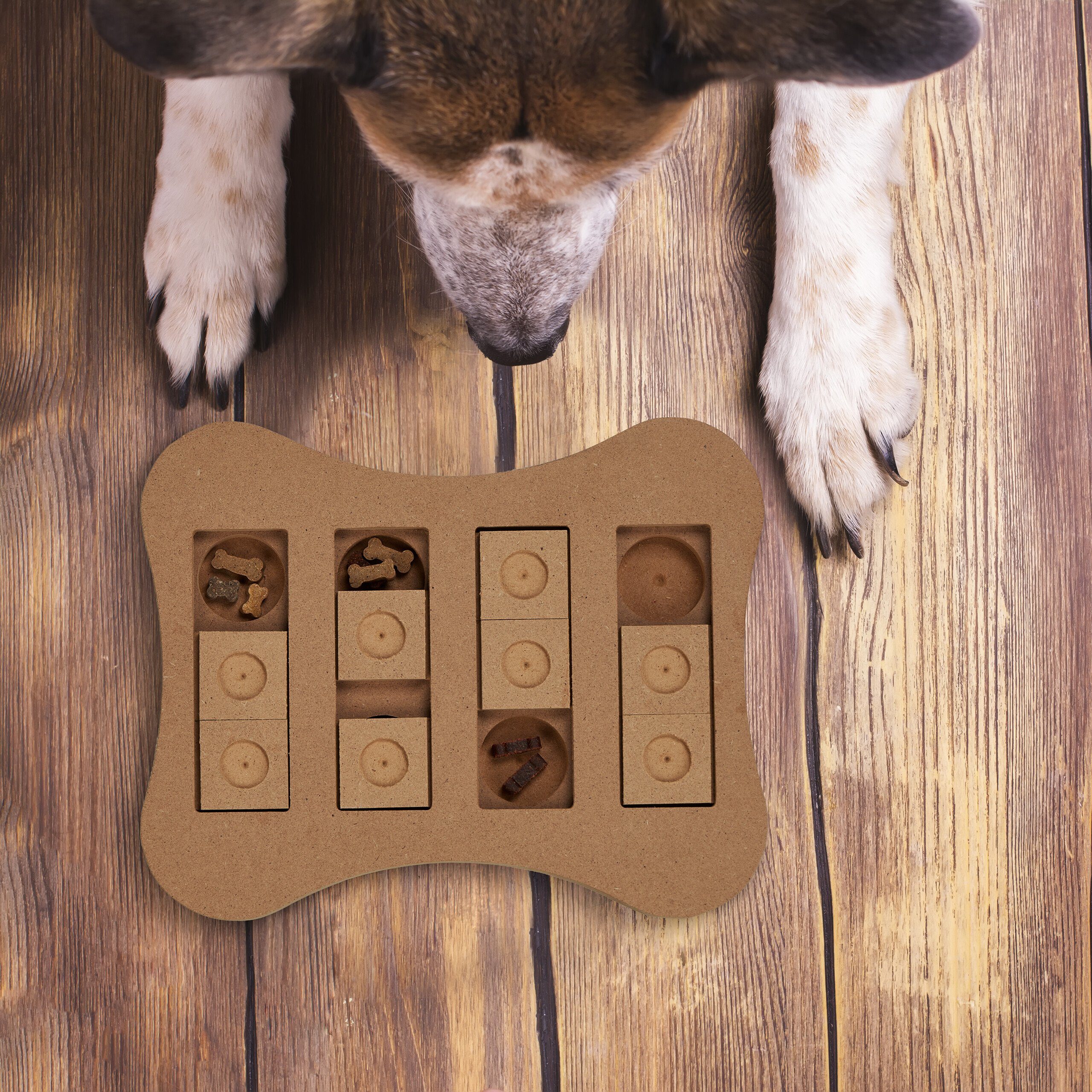 relaxdays Tier-Intelligenzspielzeug Intelligenzspielzeug für Hunde, Faserpl günstig online kaufen