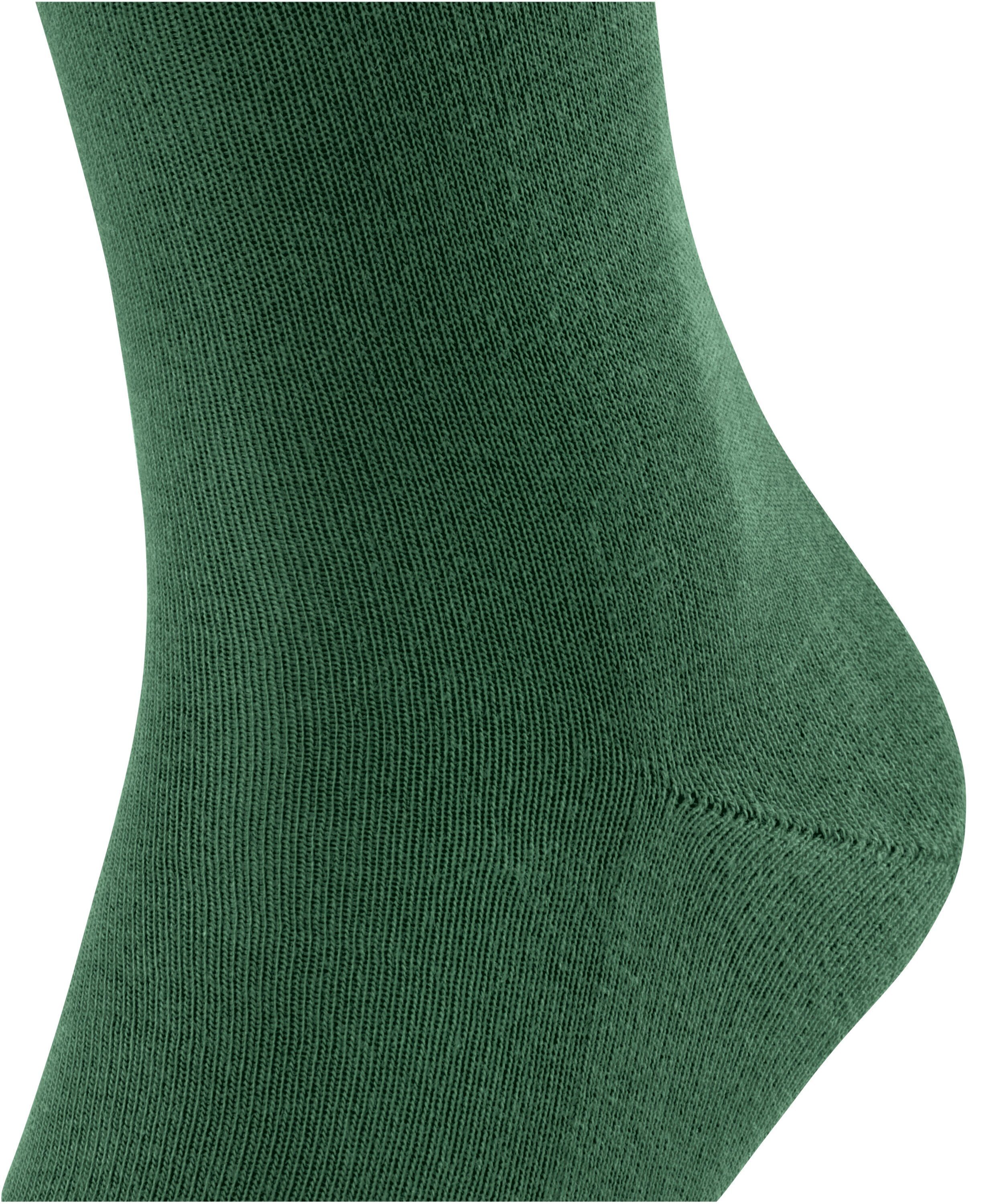 FALKE seaweed (1-Paar) Socken Family (7297)