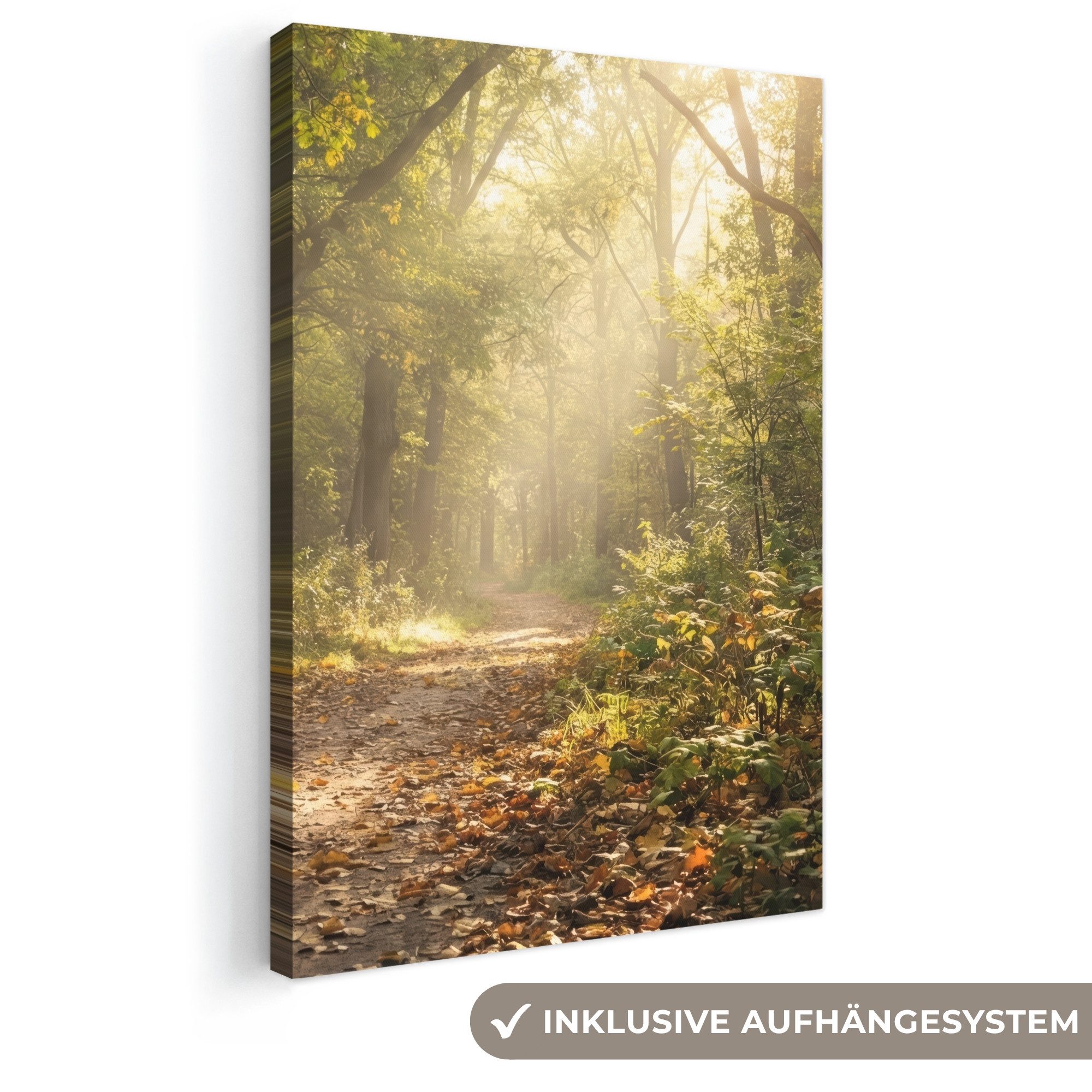 OneMillionCanvasses® Leinwandbild Sonnenlicht - Waldweg - Bäume, Fotodruck (1 St), Leinwand Canvas Wandbild, Wanddekoration 20x30 cm